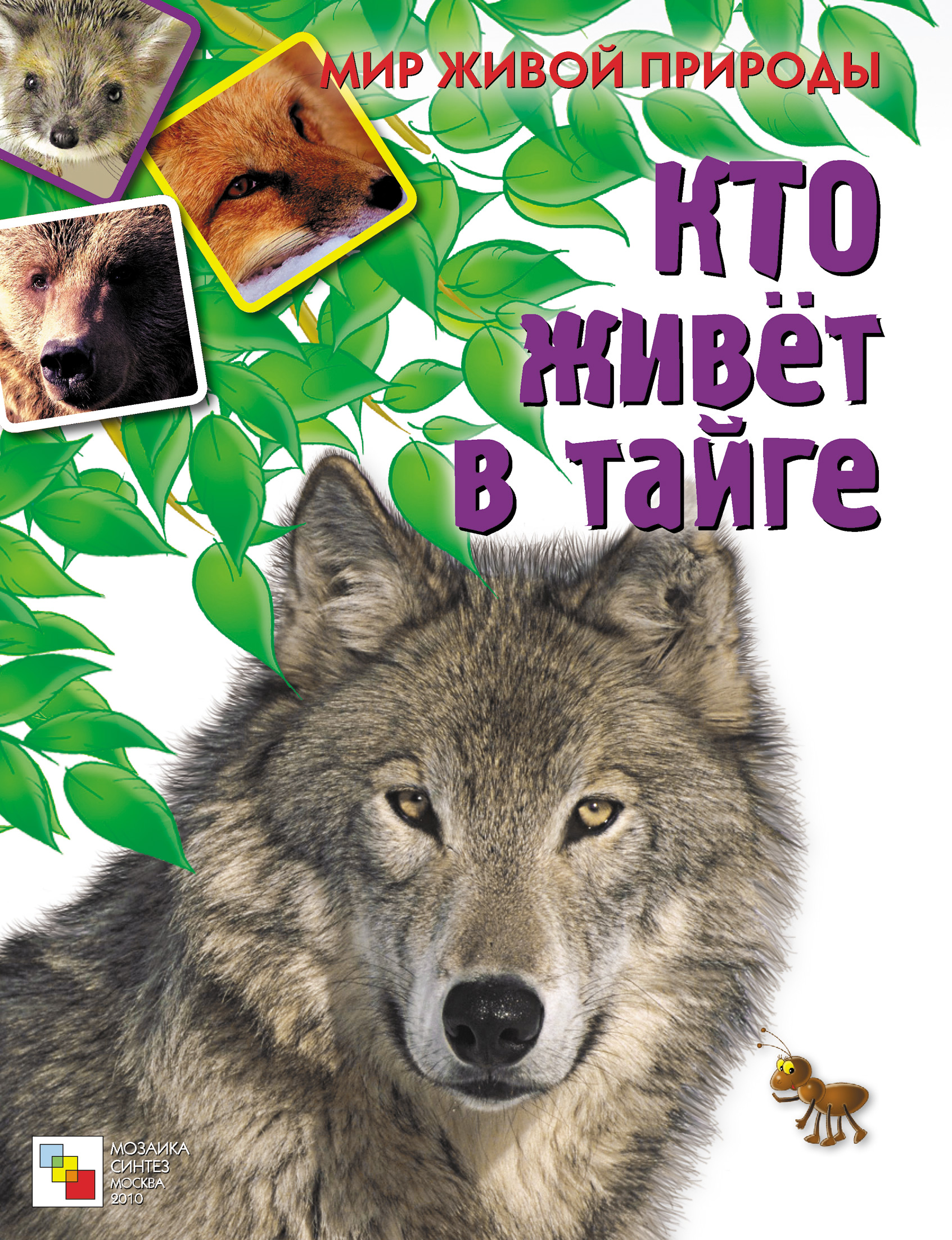 Обложка книги «Кто живет в тайге»