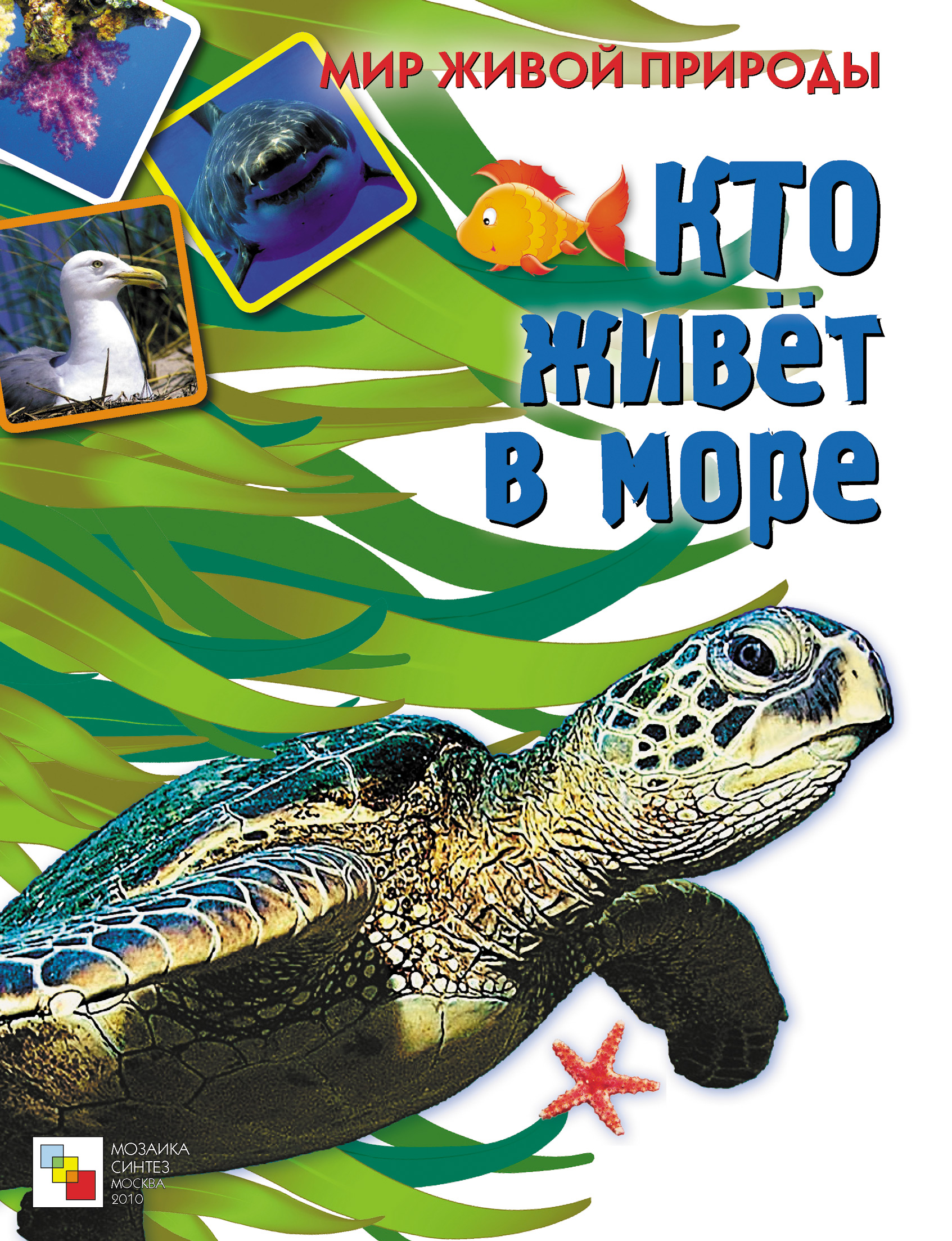 Обложка книги «Кто живет в море»