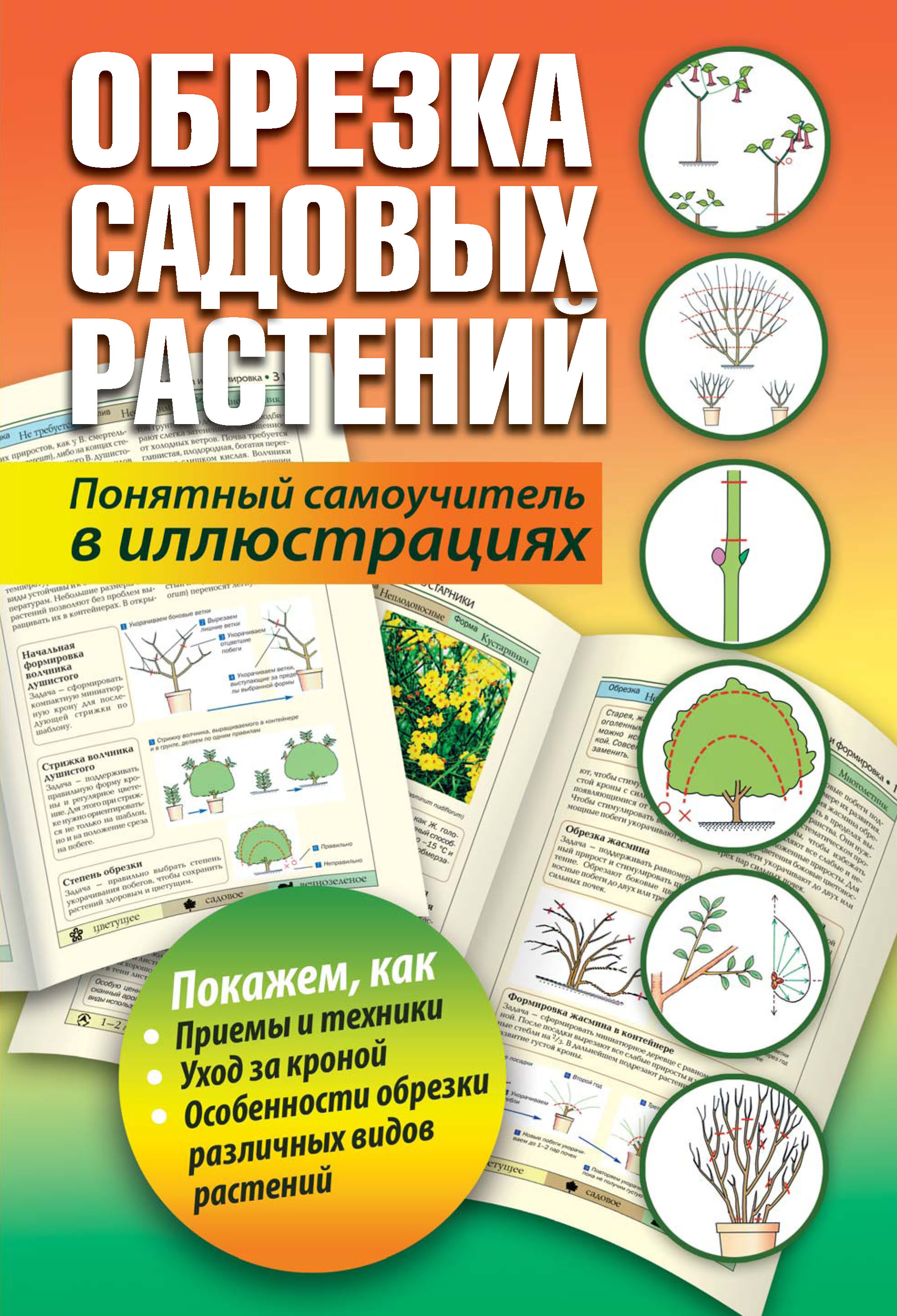 Обложка книги «Обрезка садовых растений. Понятный самоучитель в иллюстрациях»