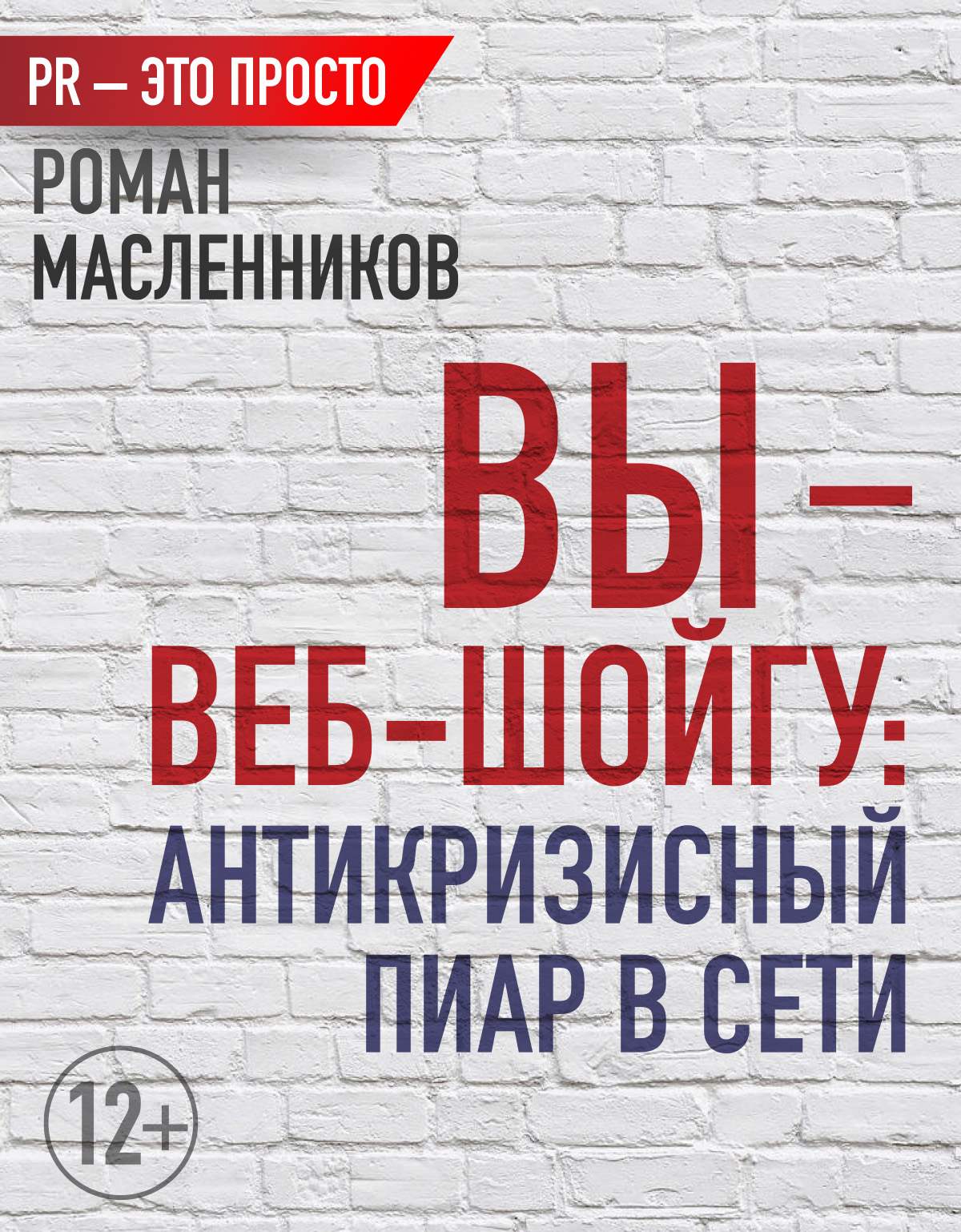 Обложка книги «Вы – веб-Шойгу: Антикризисный пиар в Сети»