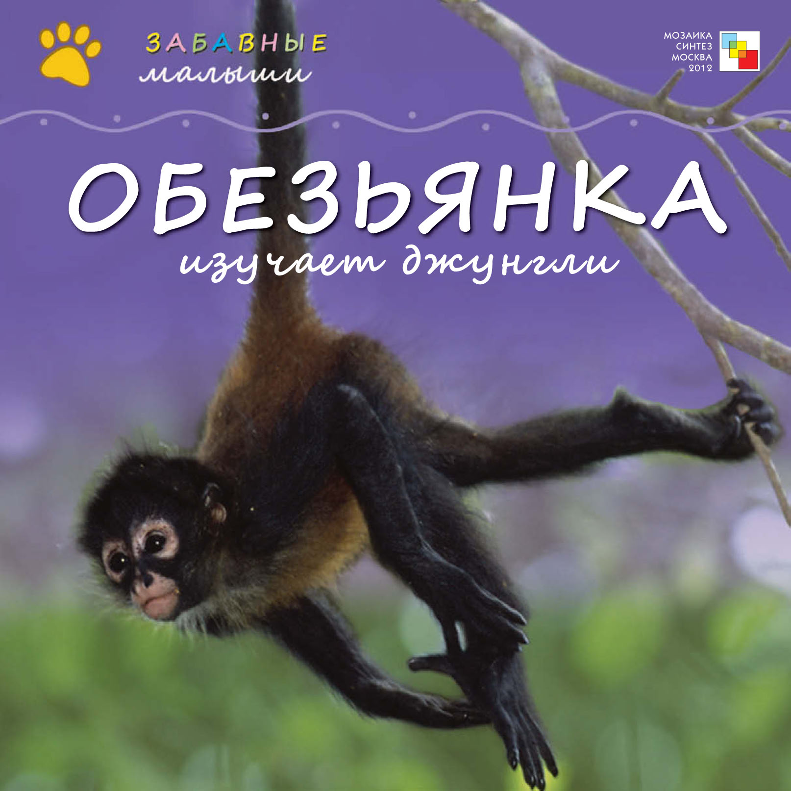 Обложка книги «Обезьянка изучает джунгли»
