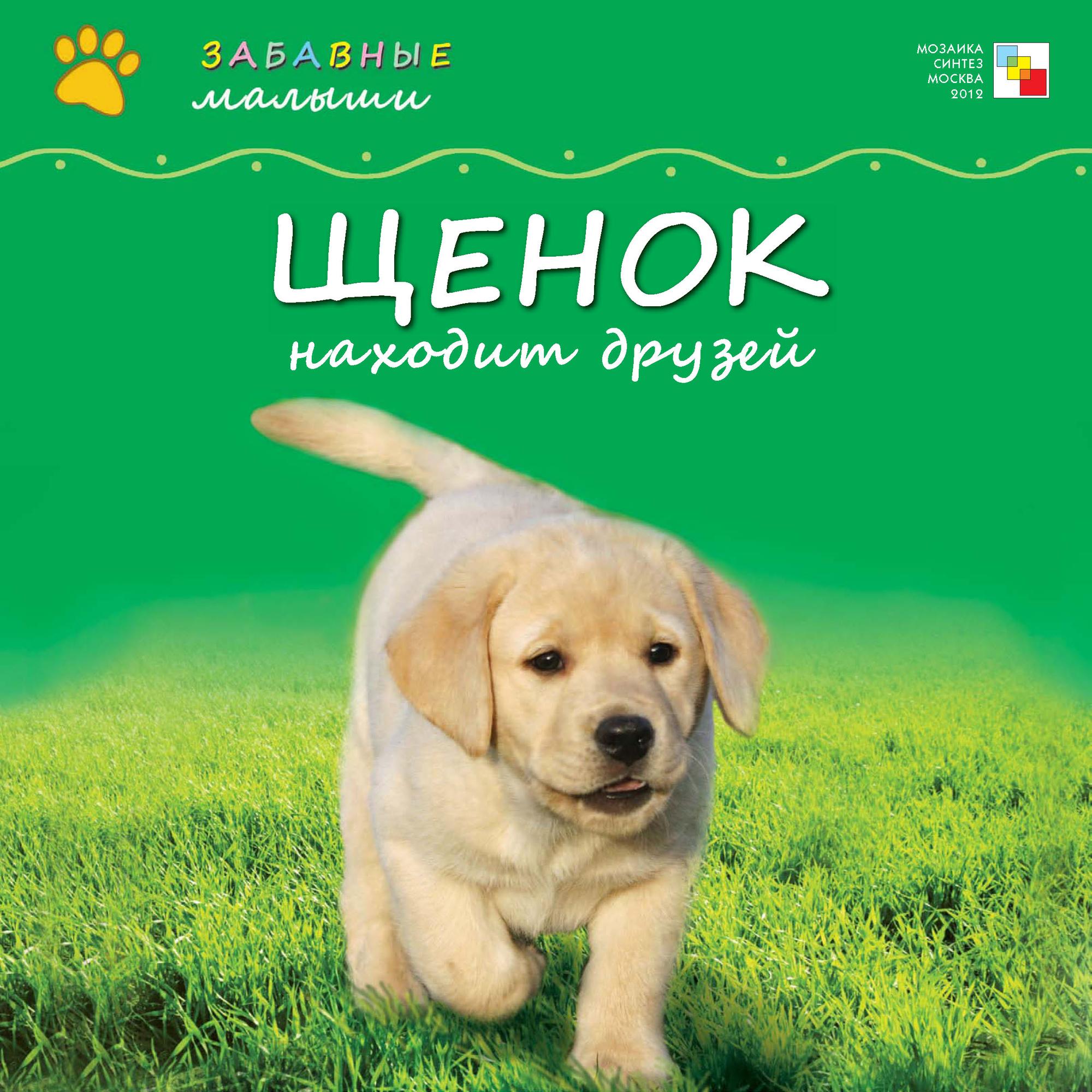 Обложка книги «Щенок находит друзей»