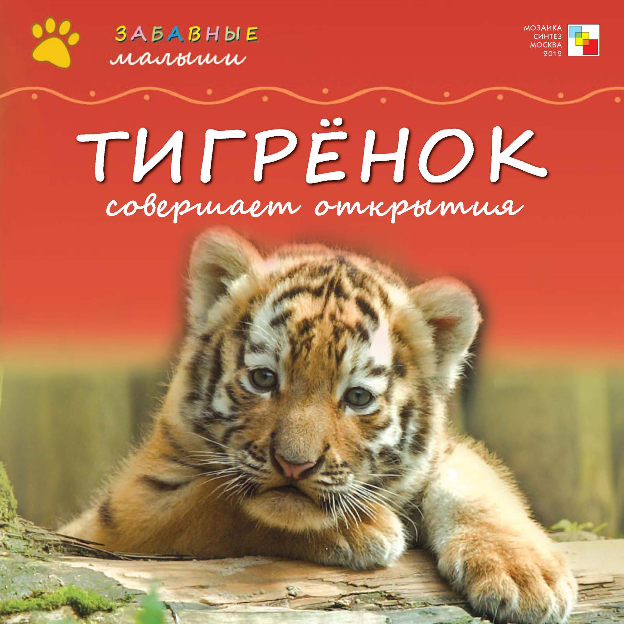 Обложка книги «Тигрёнок совершает открытия»