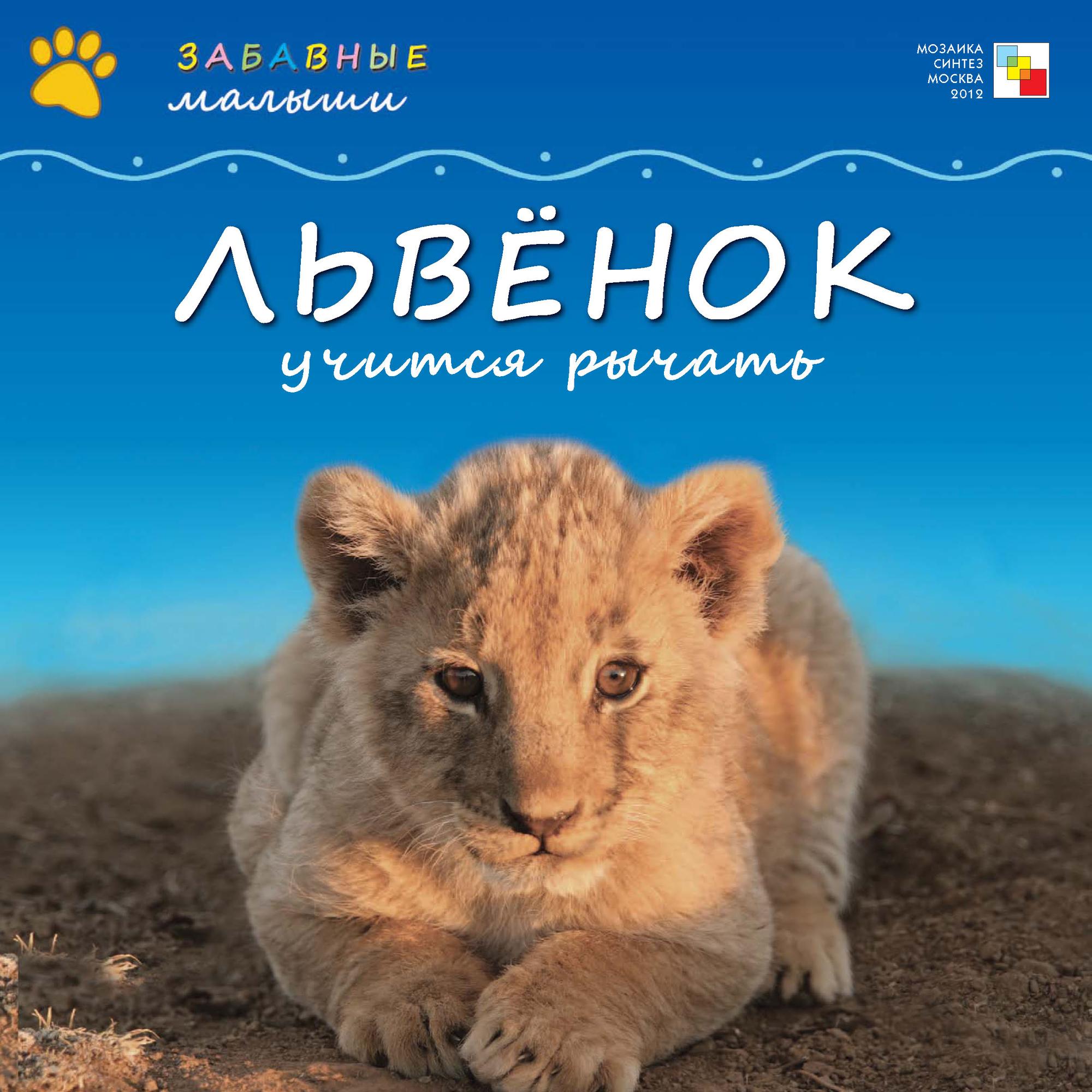 Обложка книги «Львёнок учится рычать»