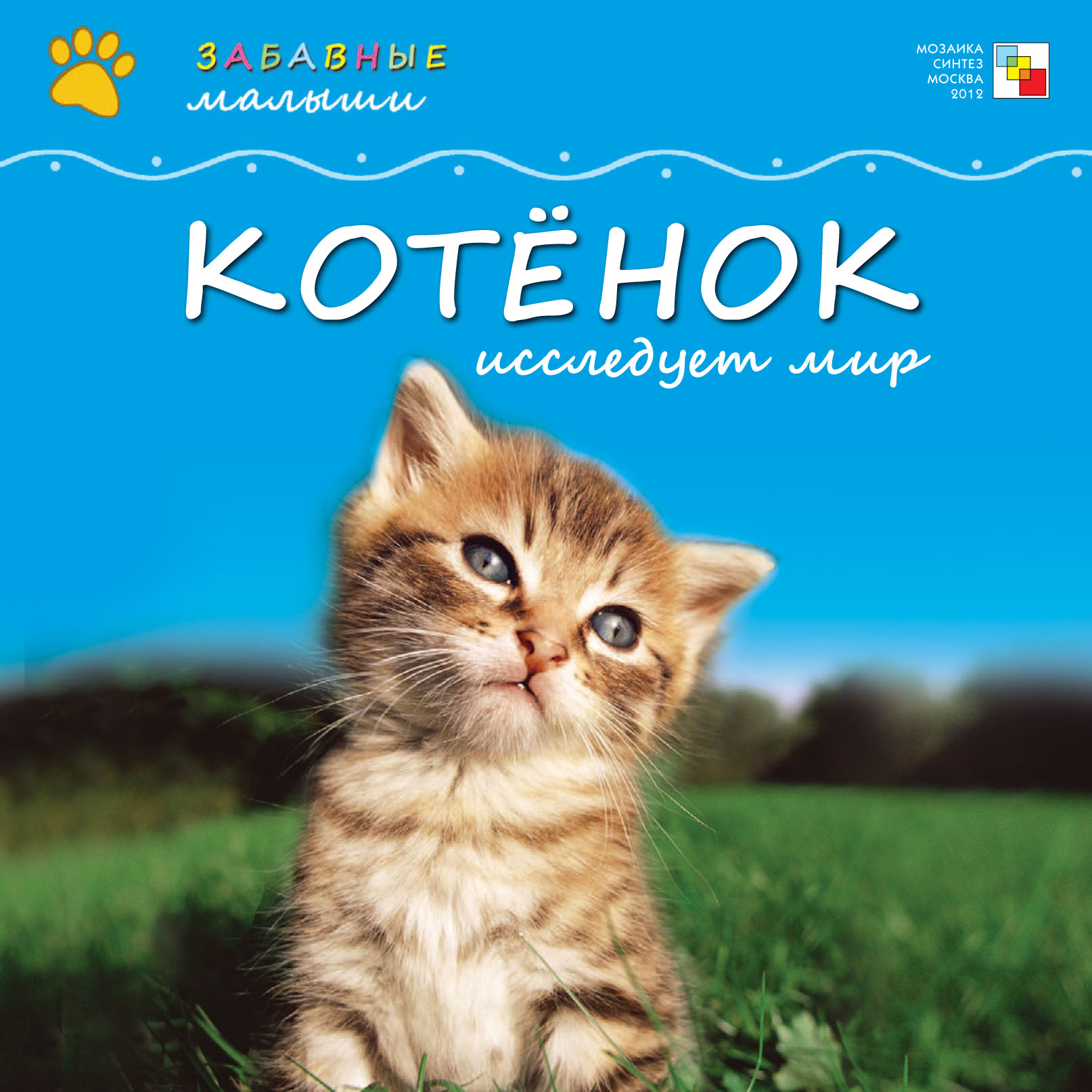Обложка книги «Котёнок исследует мир»