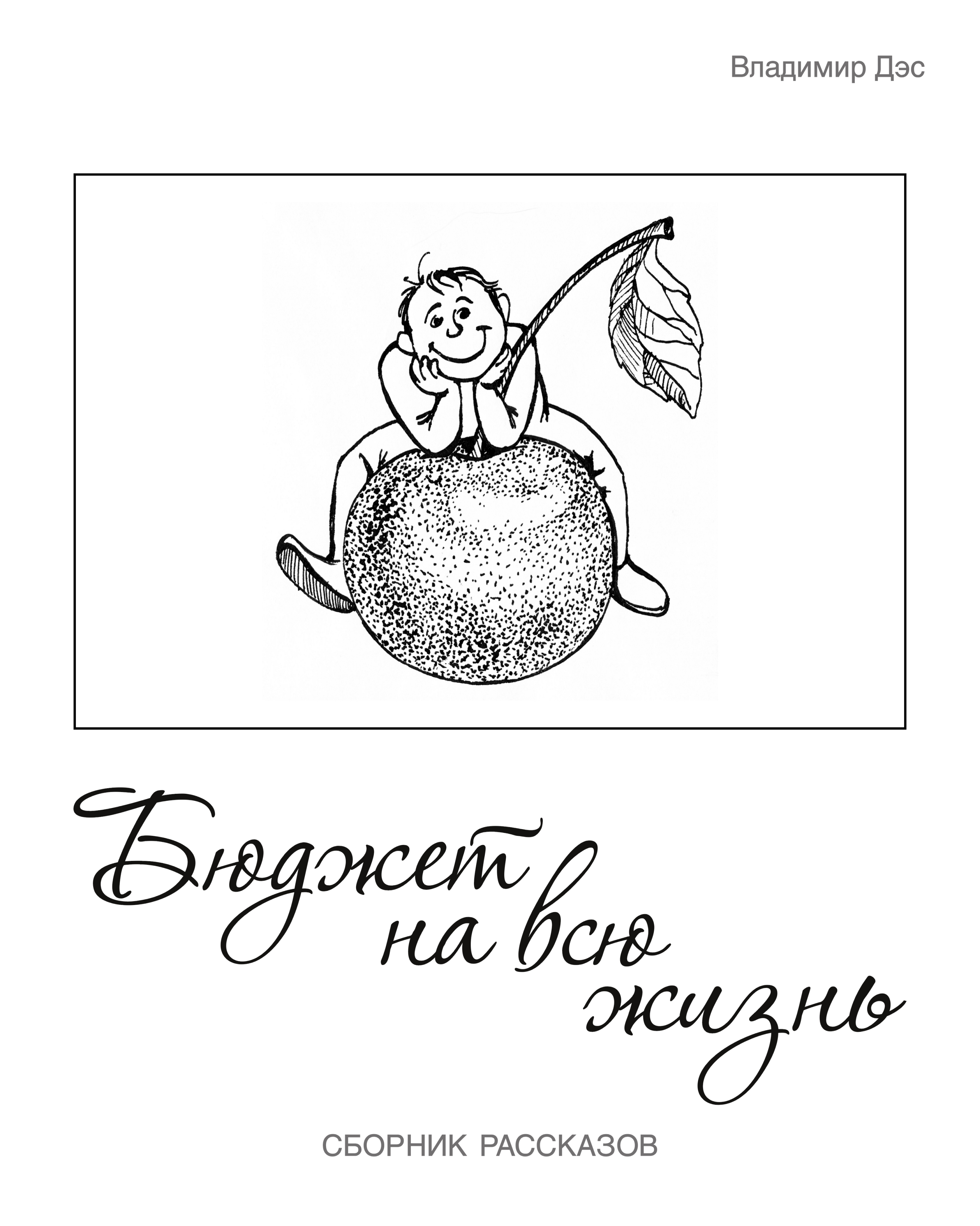 Обложка книги «Бюджет на всю жизнь (сборник)»