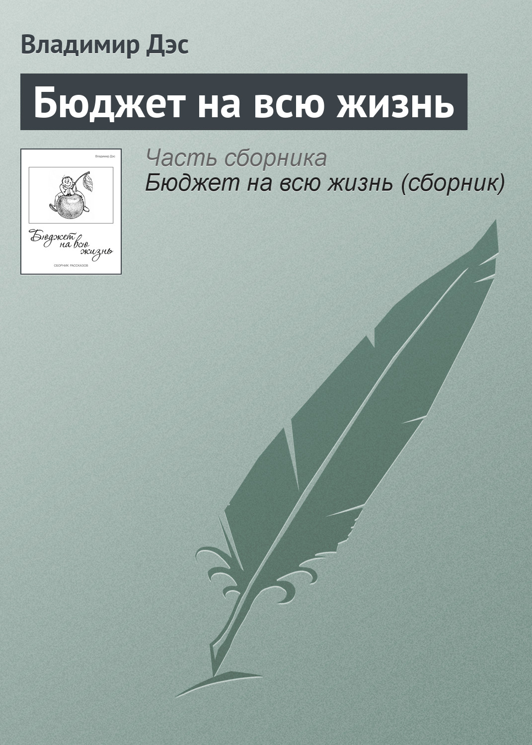 Обложка книги «Бюджет на всю жизнь»