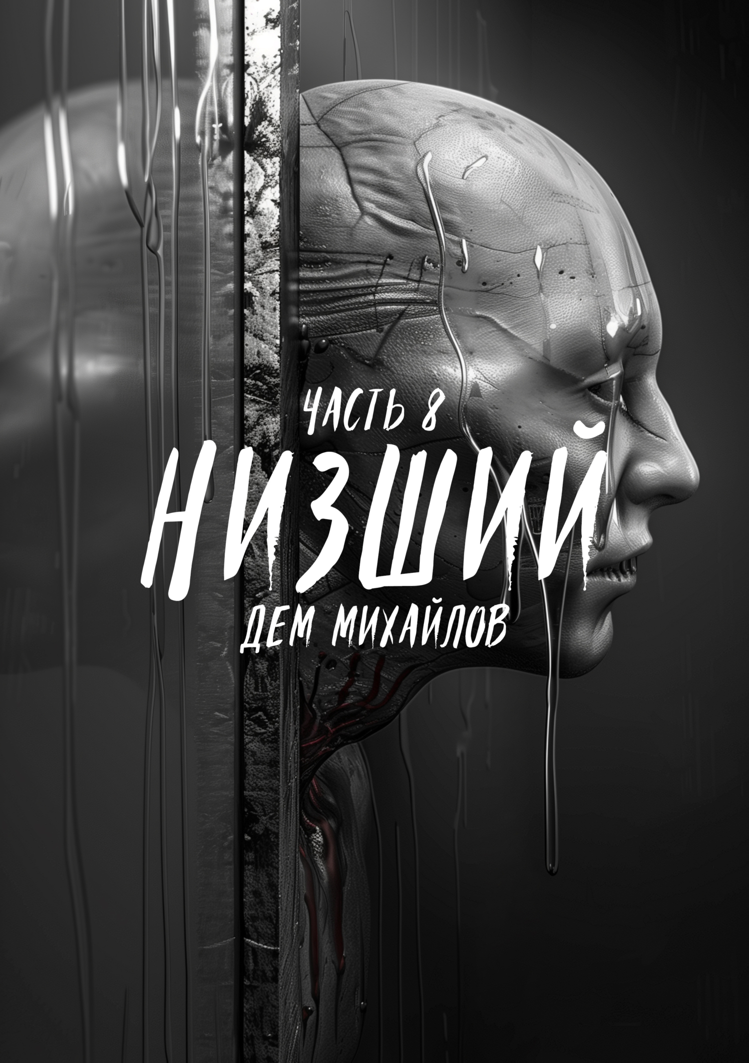 Обложка книги «Низший 8»