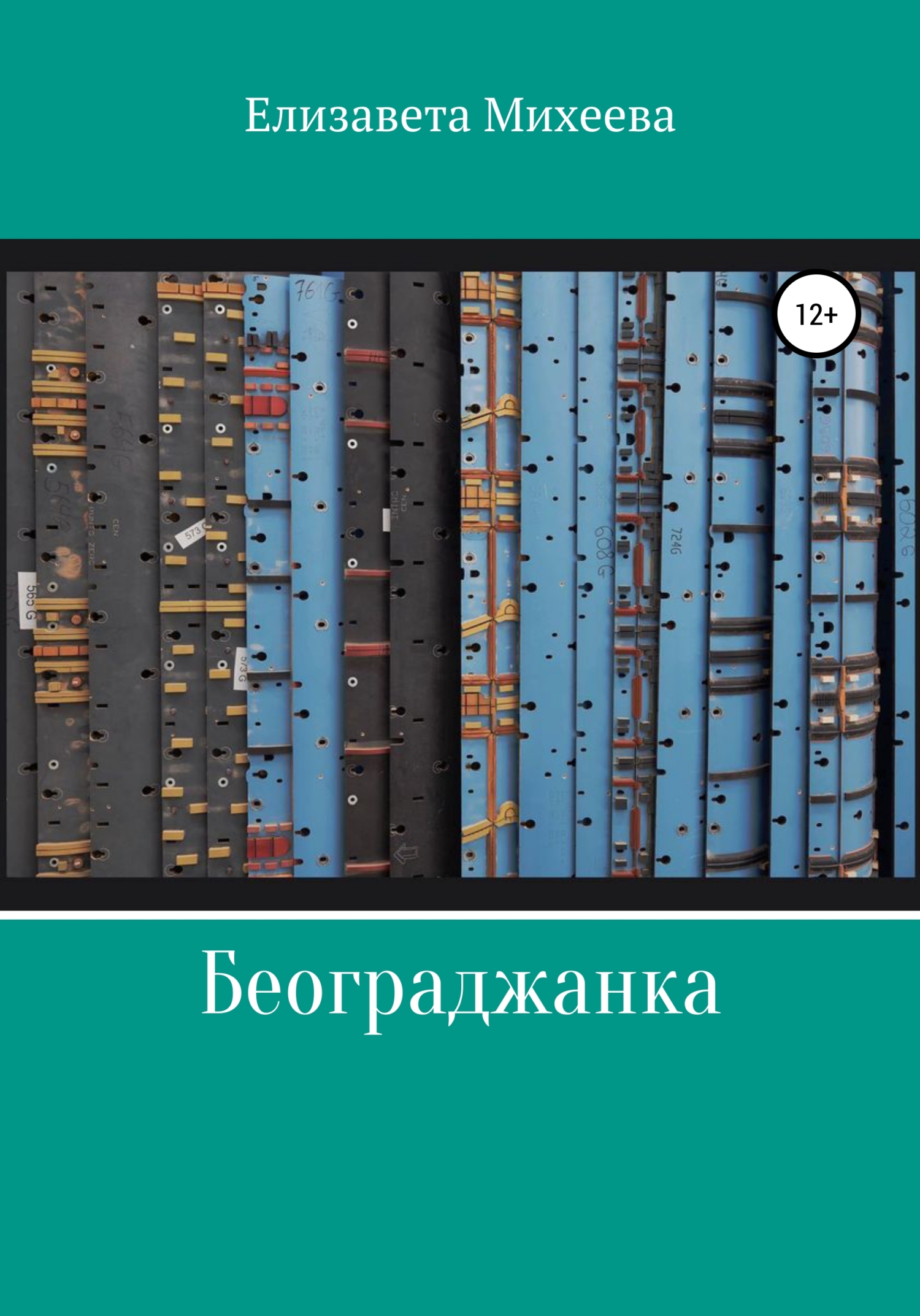 Обложка книги «Београджанка»