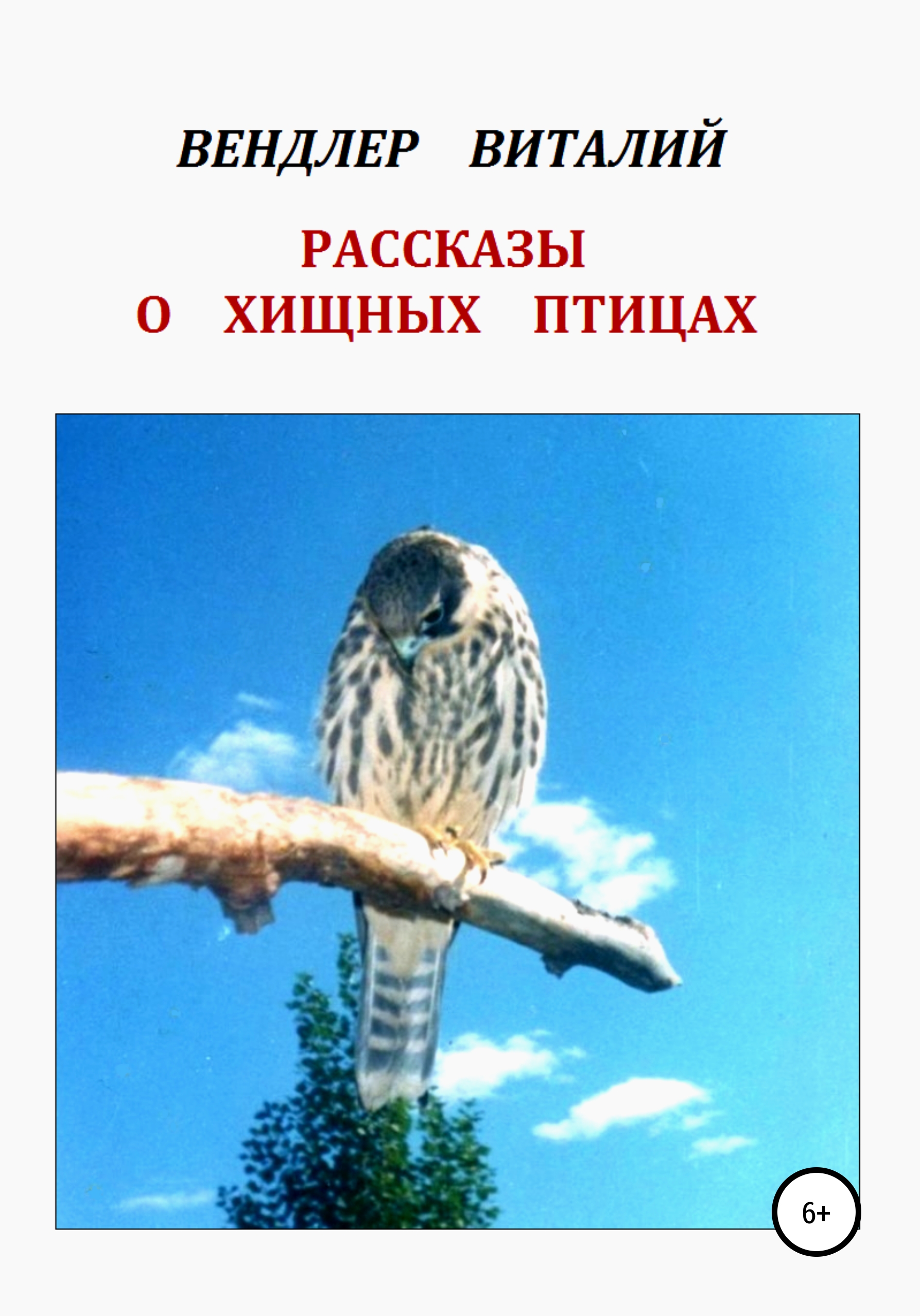 Обложка книги «Рассказы о хищных птицах»
