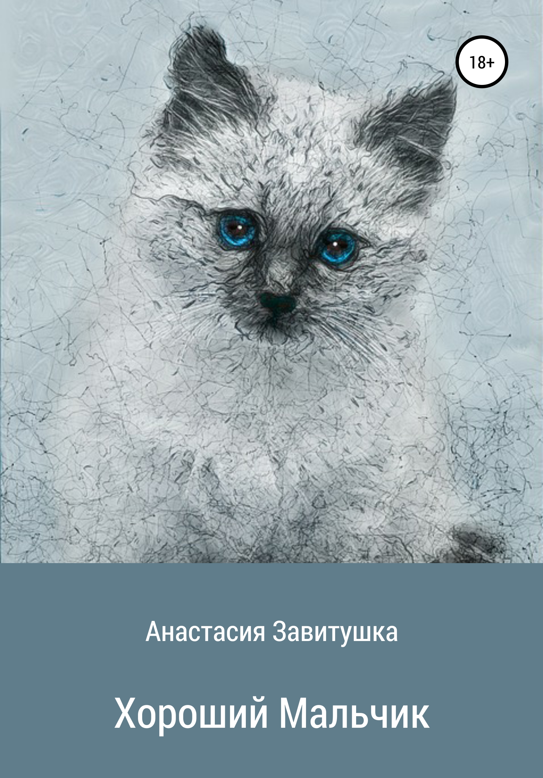 Обложка книги «Хороший мальчик»
