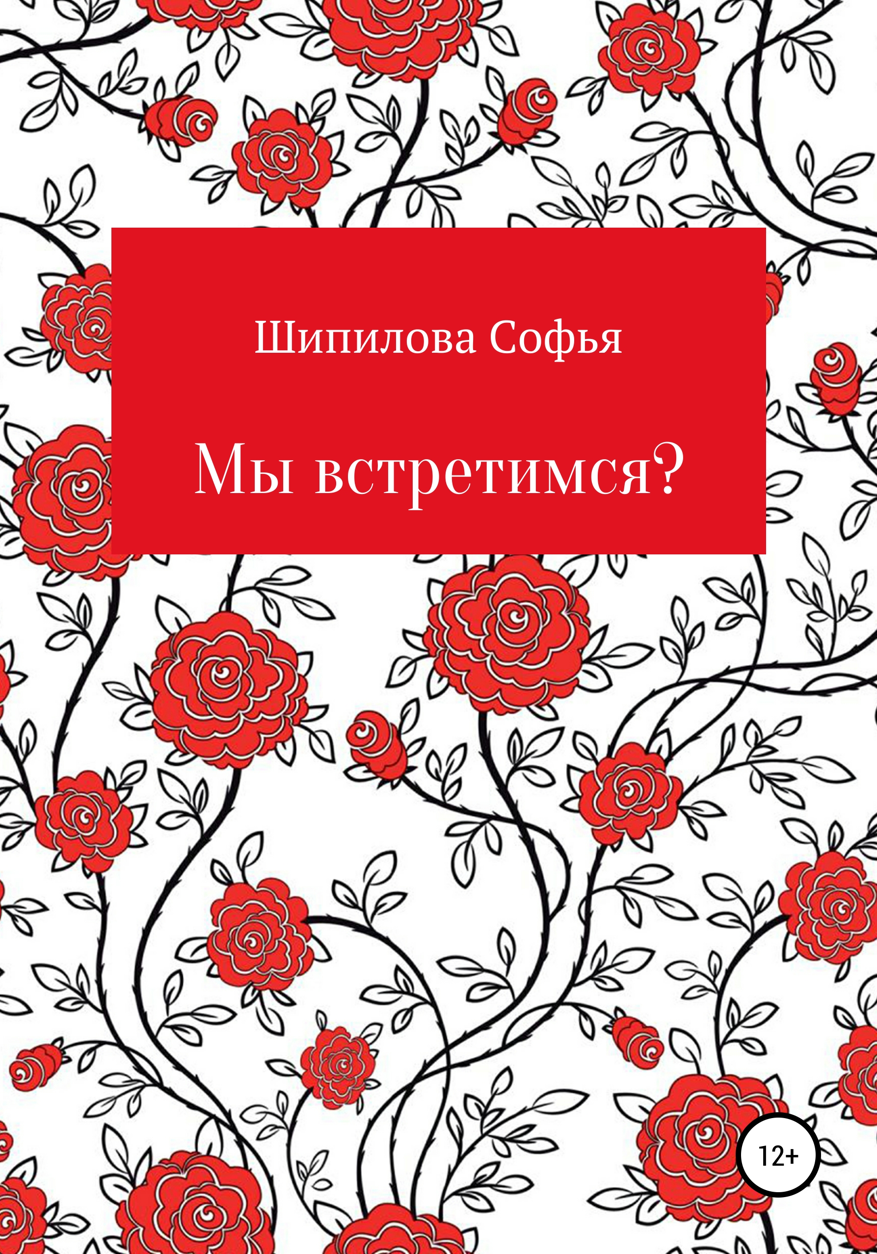 Обложка книги «Мы встретимся?»