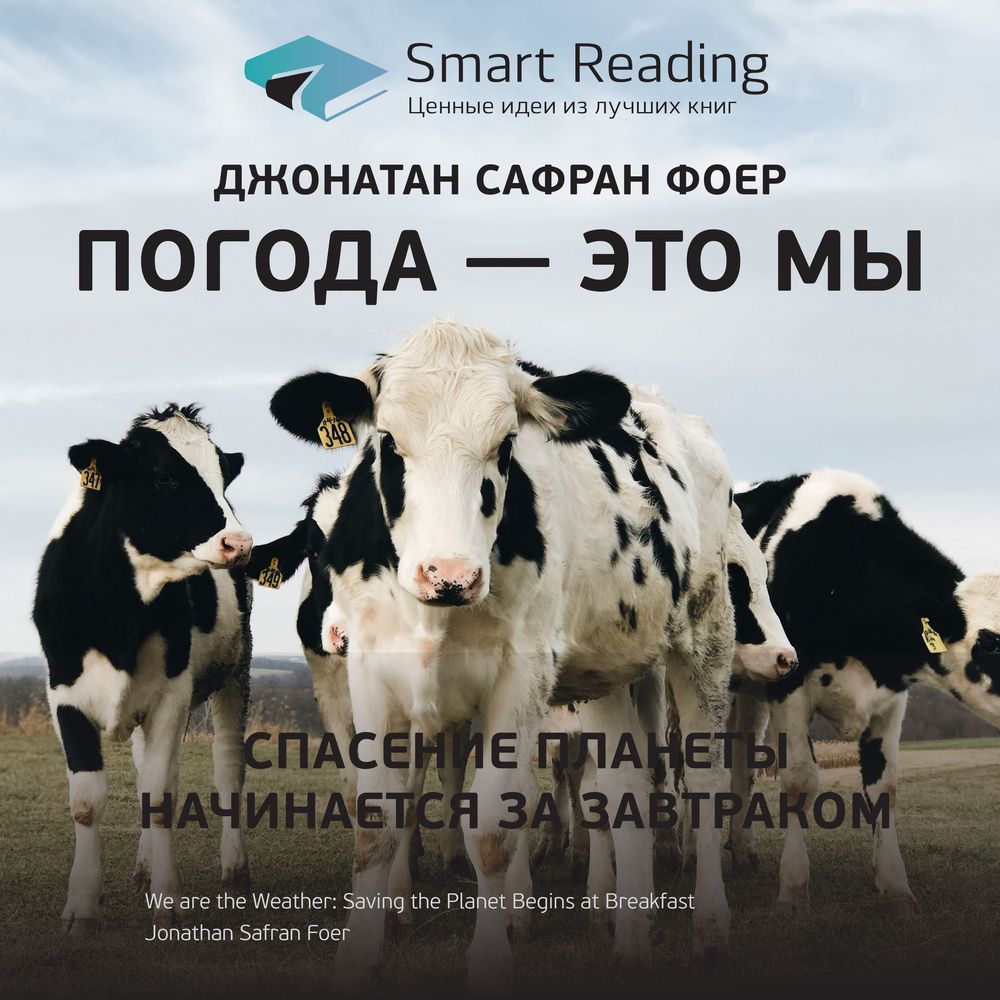 Обложка книги «Ключевые идеи книги: Погода – это мы. Спасение планеты начинается за завтраком. Джонатан Сафран Фоер»