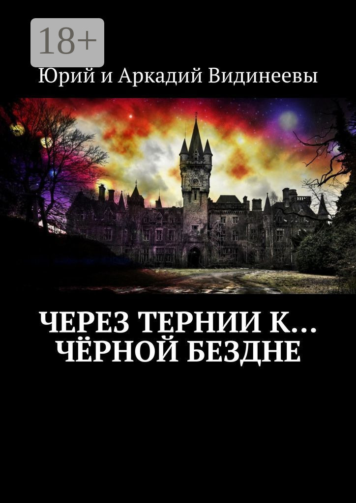 Обложка книги «Через тернии к… чёрной бездне»