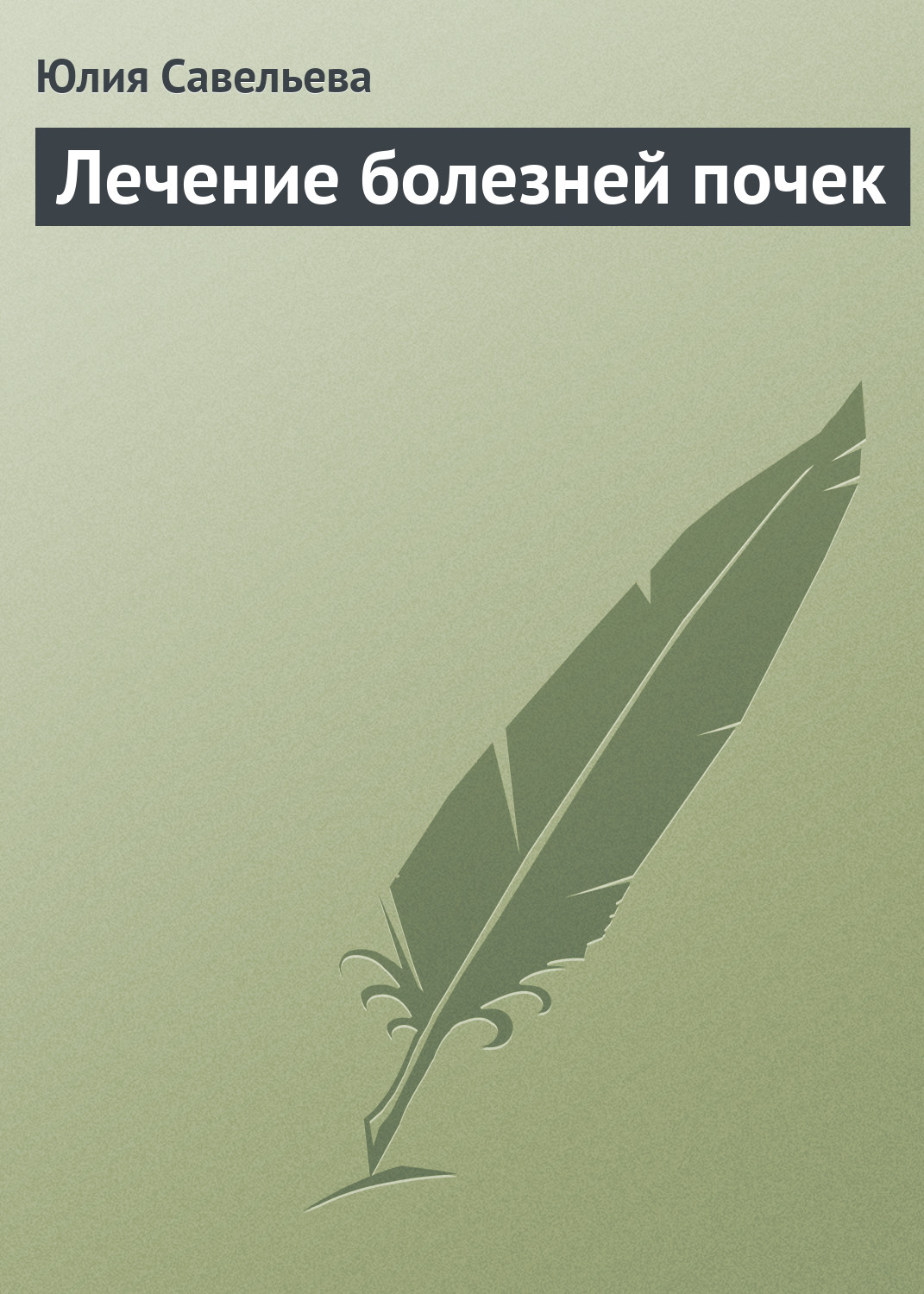 Обложка книги «Лечение болезней почек»