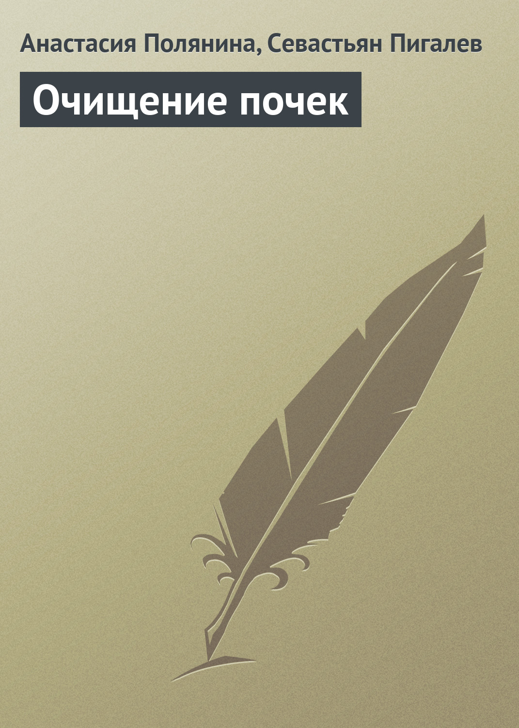 Обложка книги «Очищение почек»
