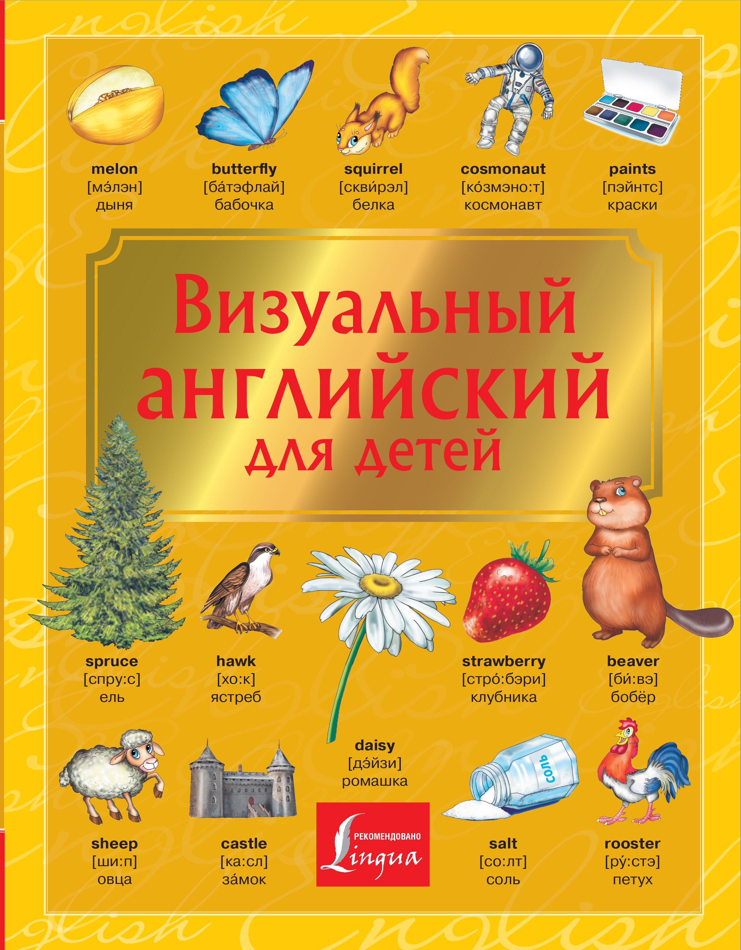 Обложка книги «Визуальный английский для детей»