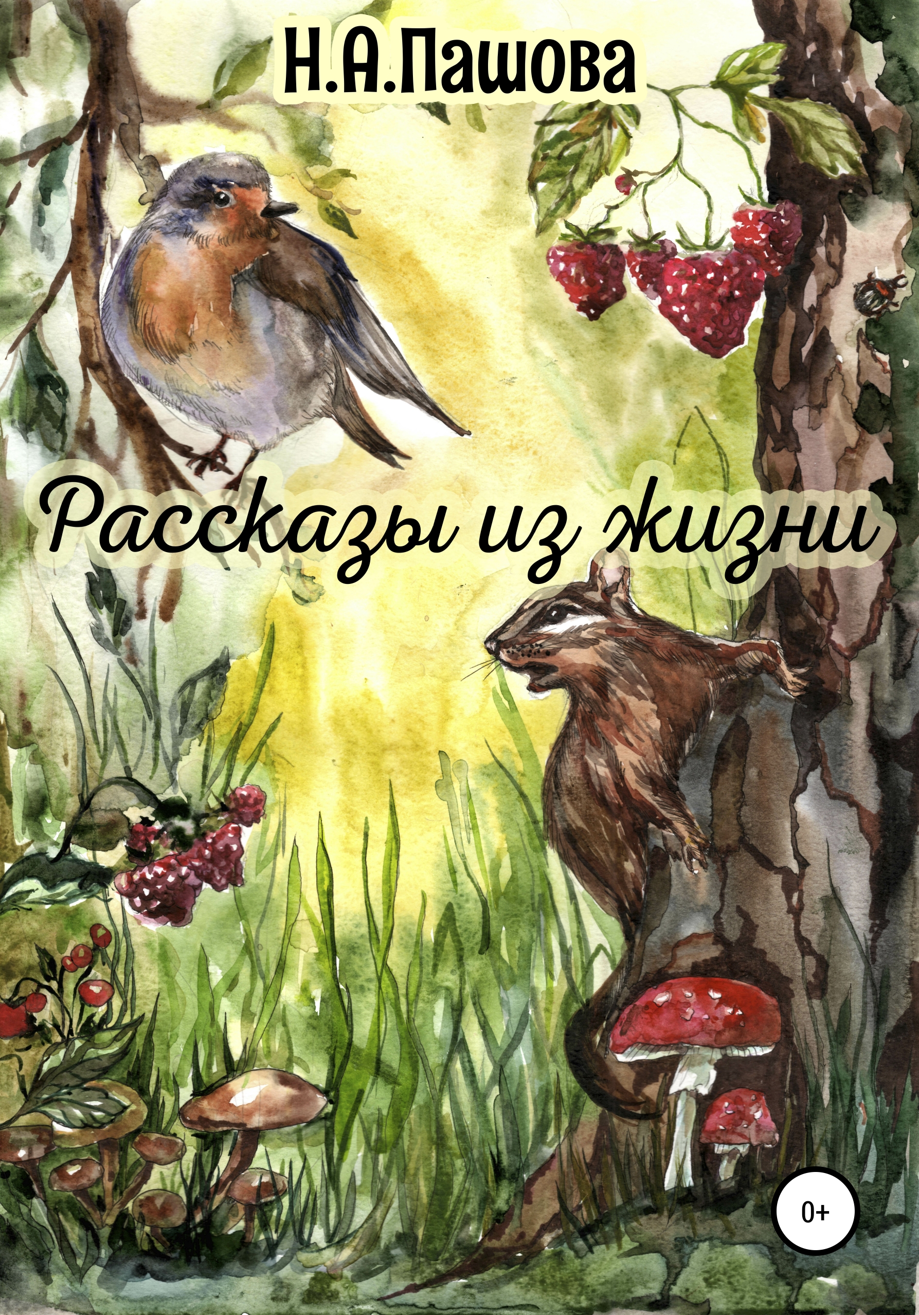 Обложка книги «Рассказы из жизни»