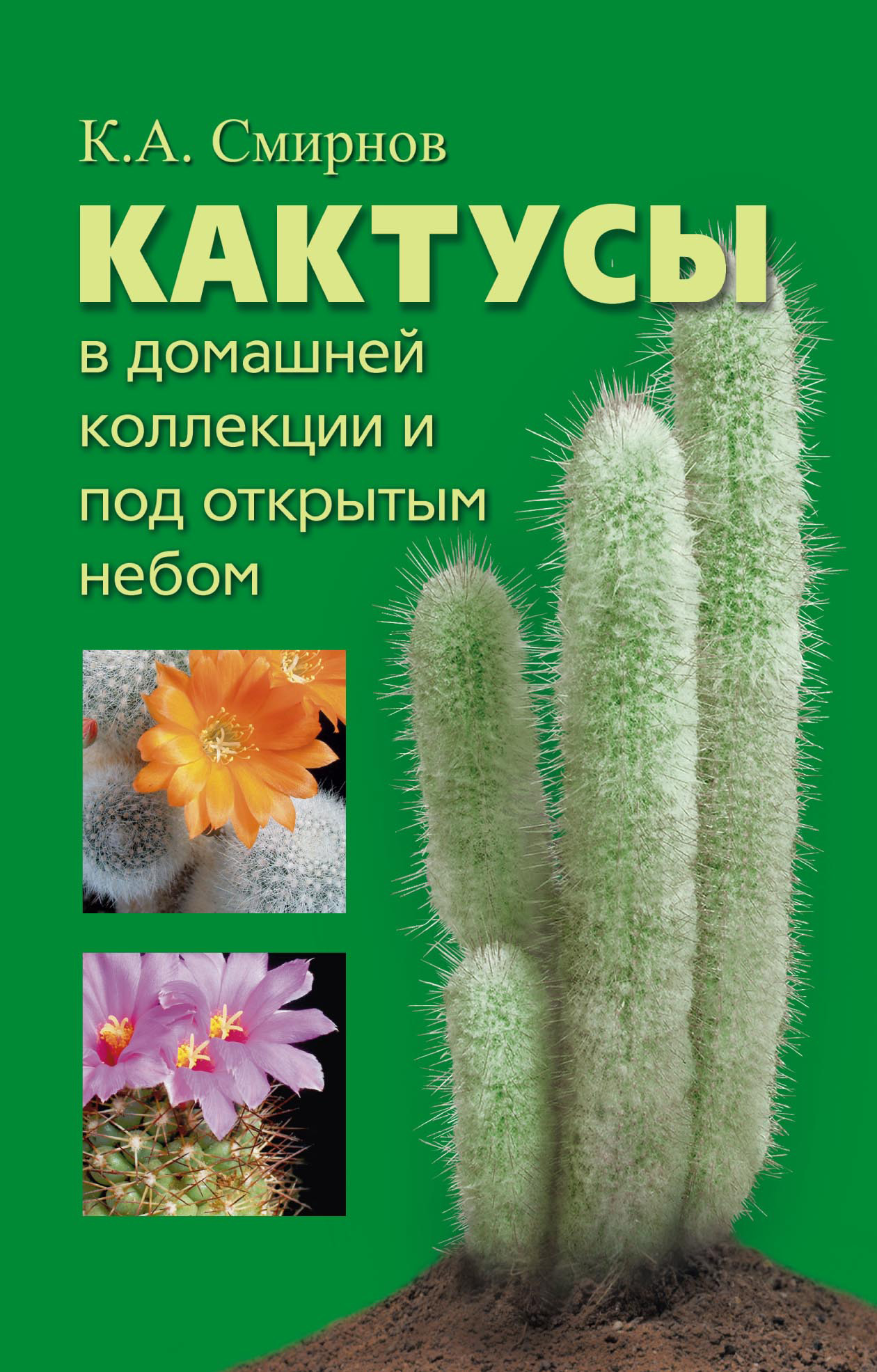 Обложка книги «Кактусы в домашней коллекции и под открытым небом»