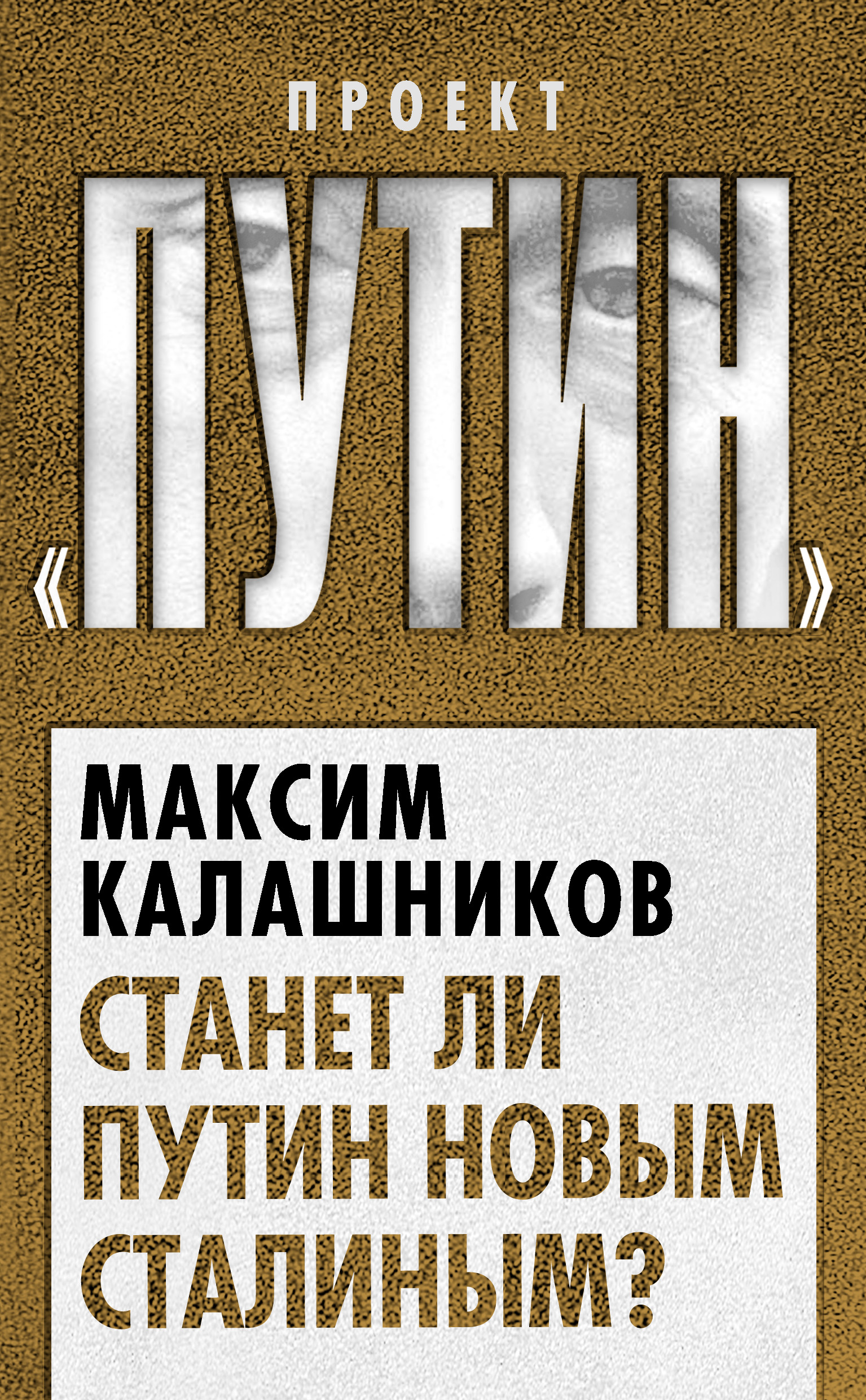 Обложка книги «Станет ли Путин новым Сталиным?»