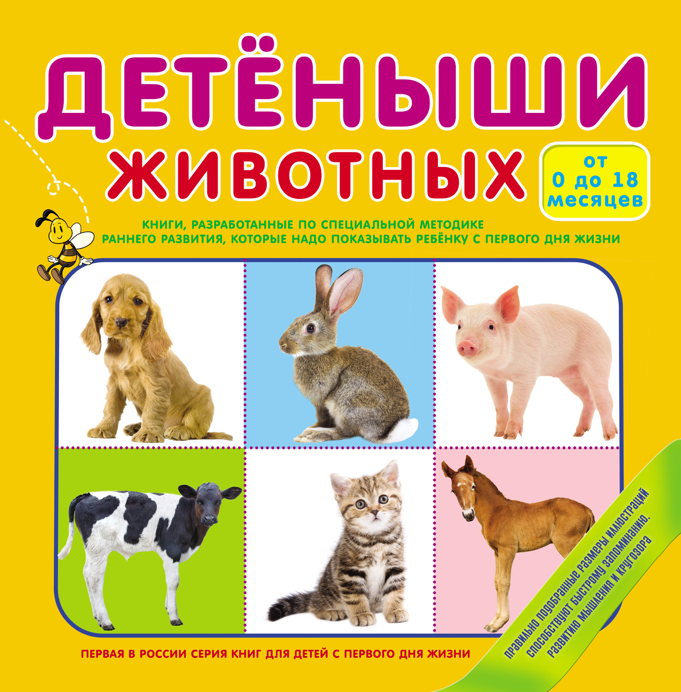 Обложка книги «Детеныши животных»