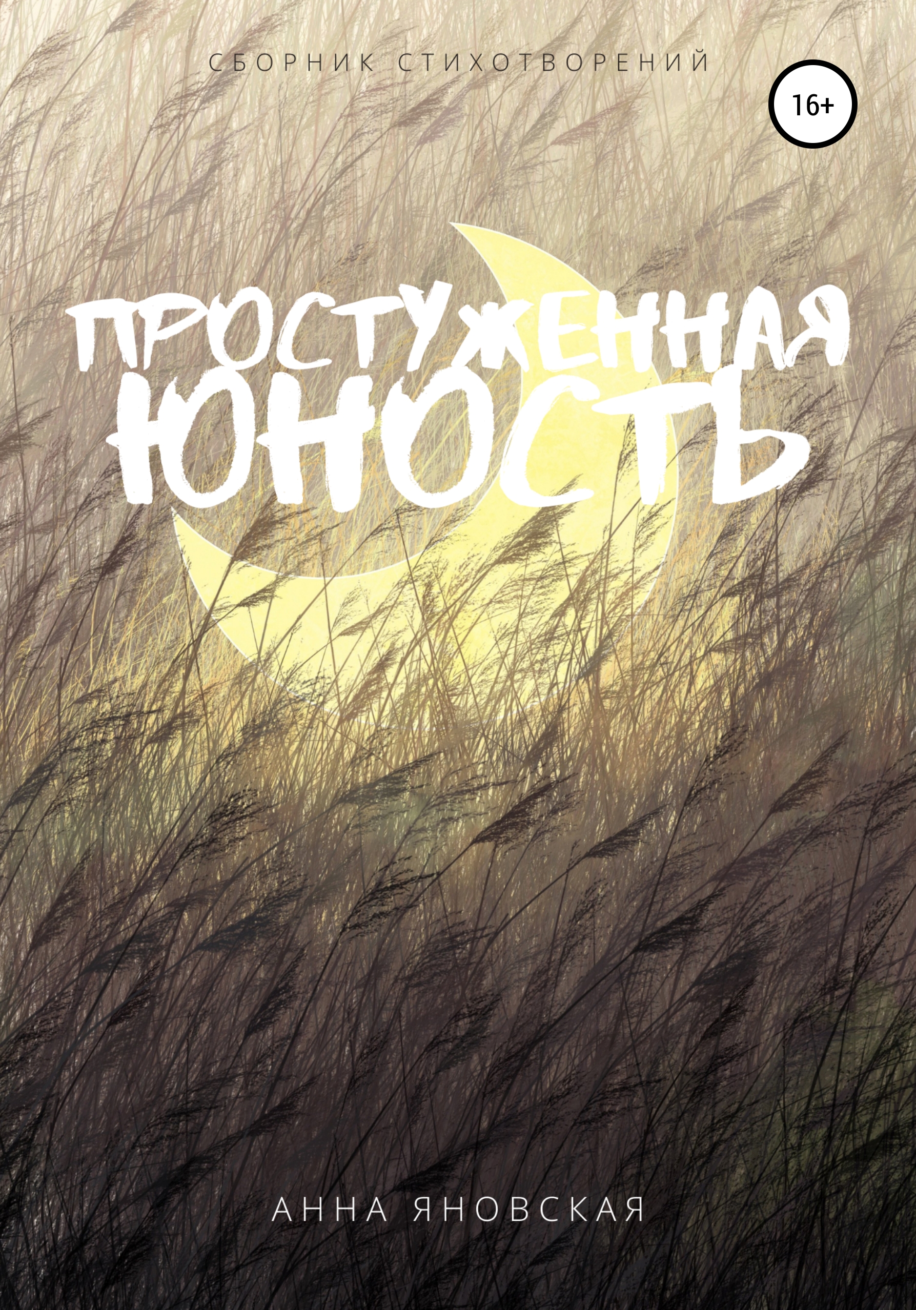 Обложка книги «Простуженная юность»