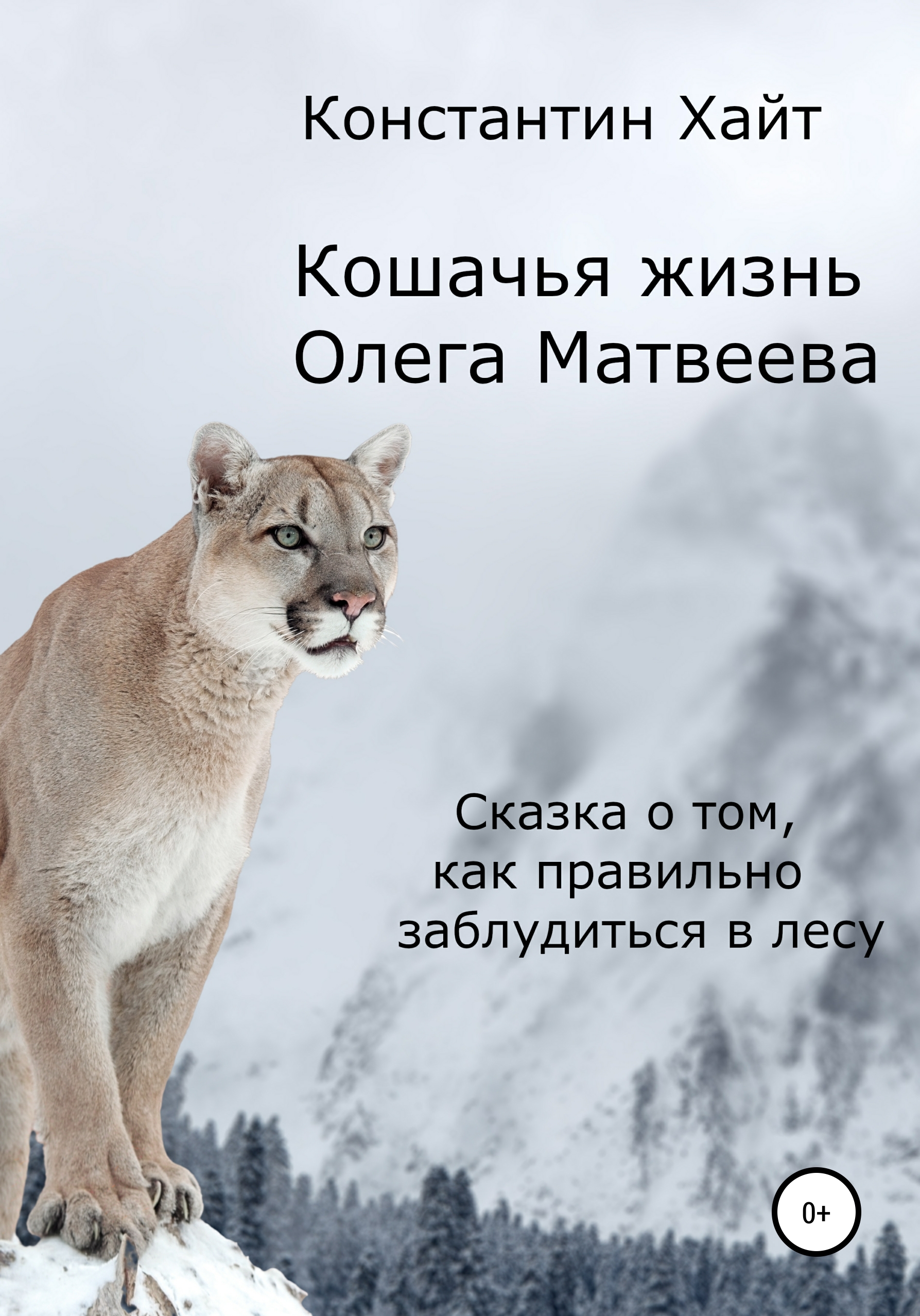 Обложка книги «Кошачья жизнь Олега Матвеева»