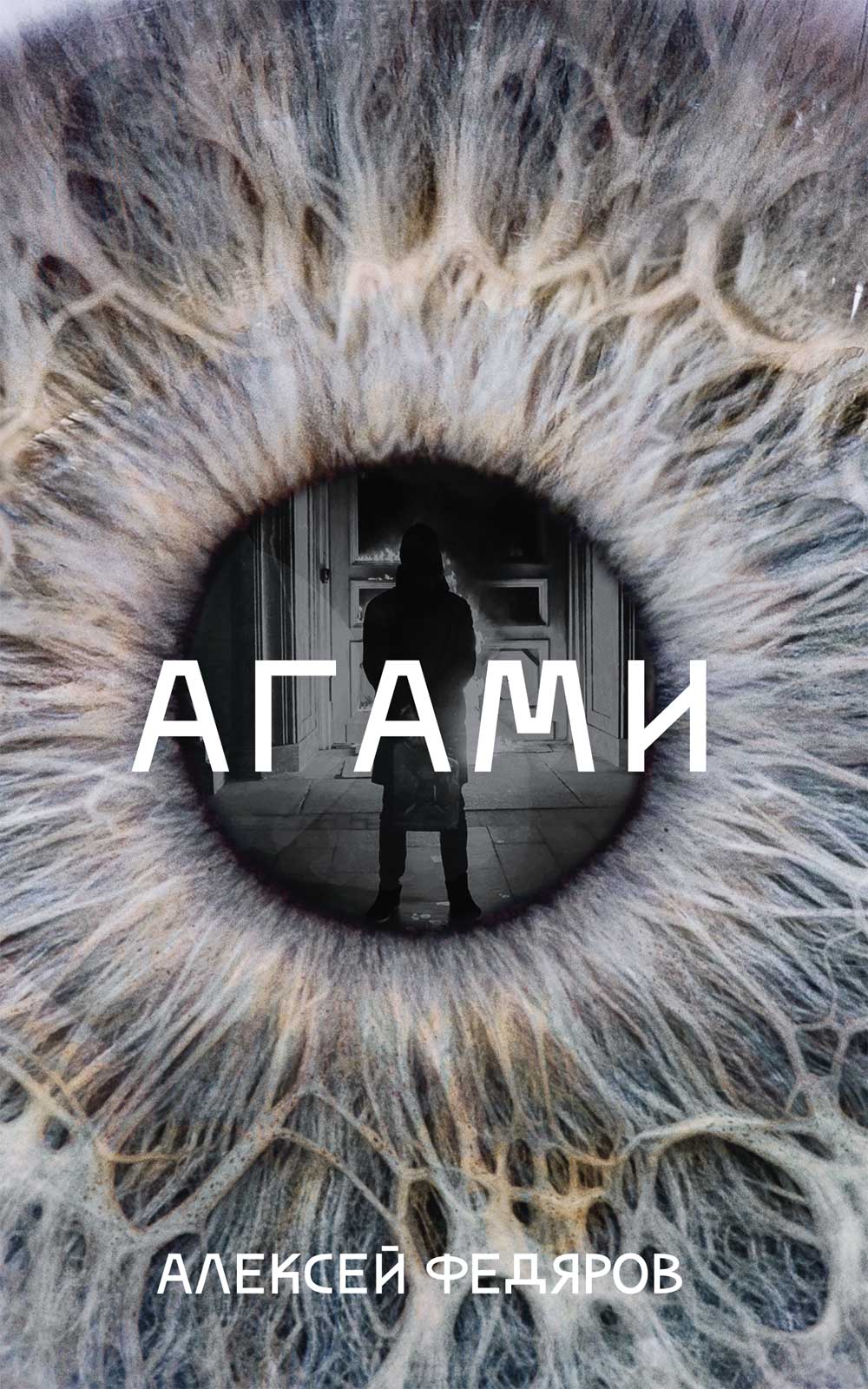 Обложка книги «Агами»