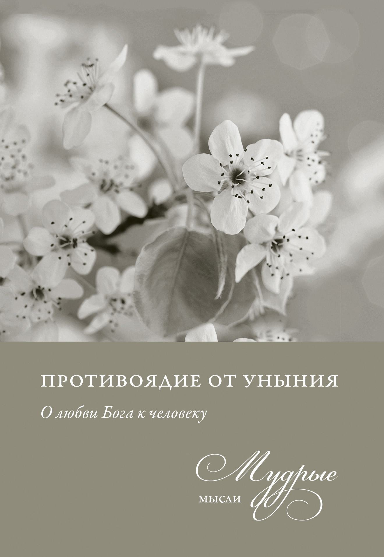 Обложка книги «Противоядие от уныния. О любви Бога к человеку. Мудрые мысли»