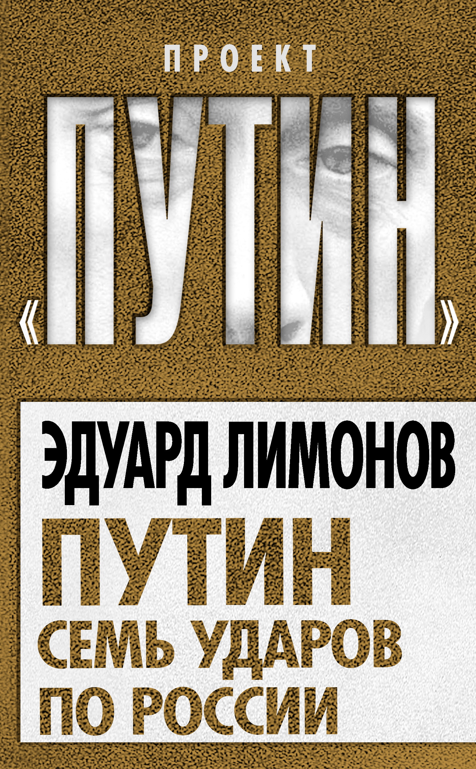 Обложка книги «Путин. Семь ударов по России»