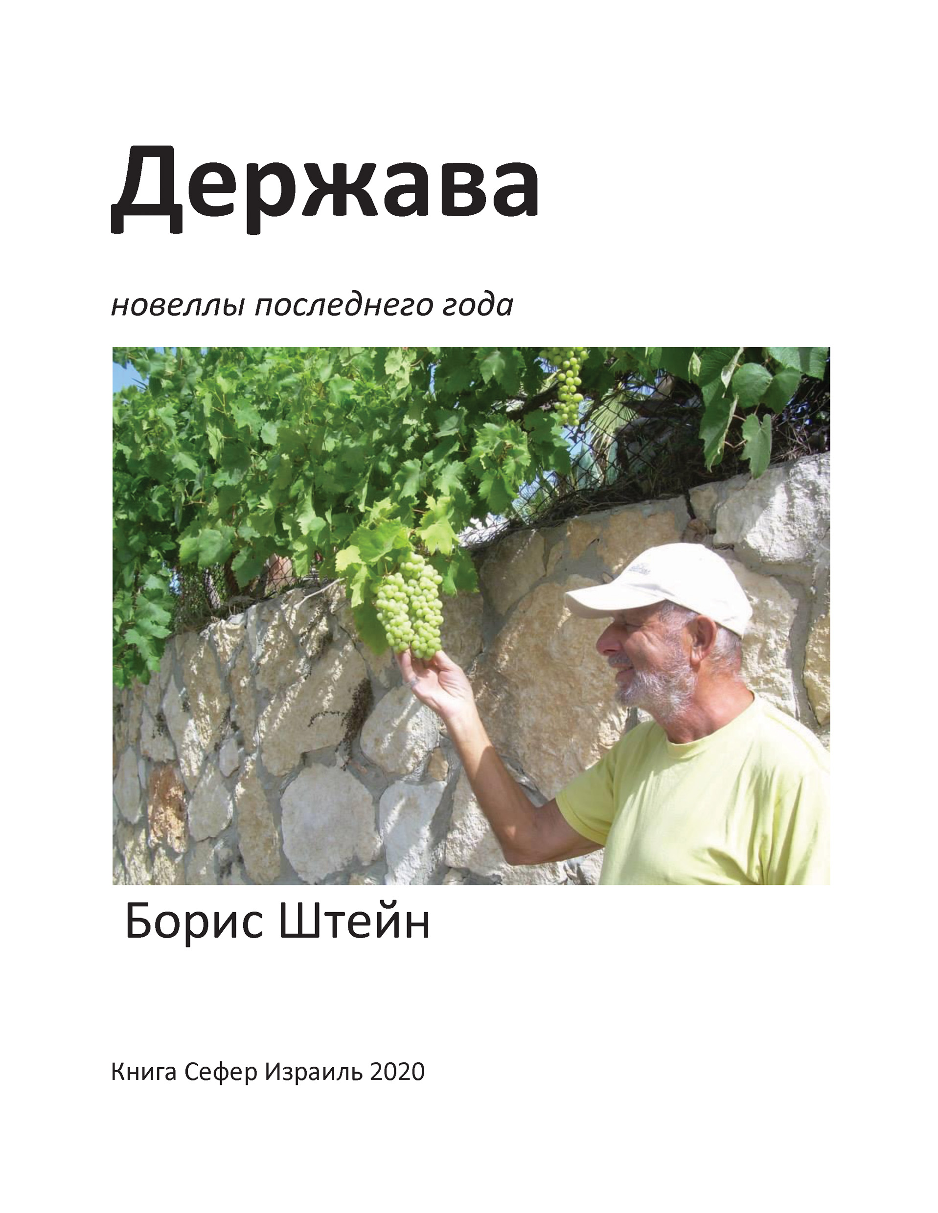 Обложка книги «Держава. Новеллы последнего года»