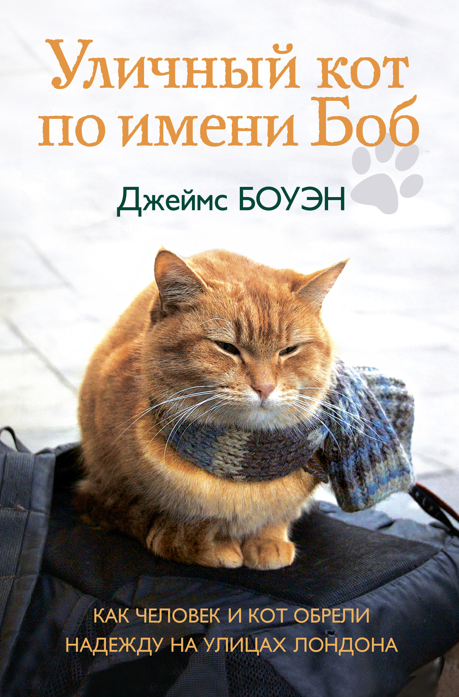 Обложка книги «Уличный кот по имени Боб. Как человек и кот обрели надежду на улицах Лондона»