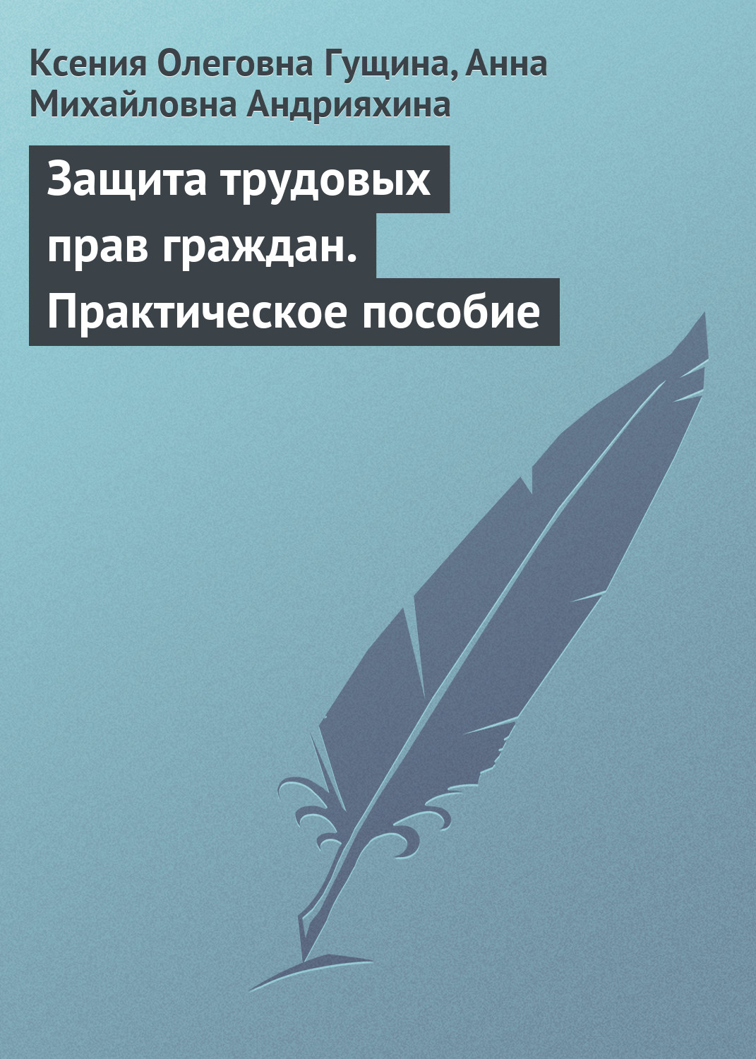 Обложка книги «Защита трудовых прав граждан. Практическое пособие»
