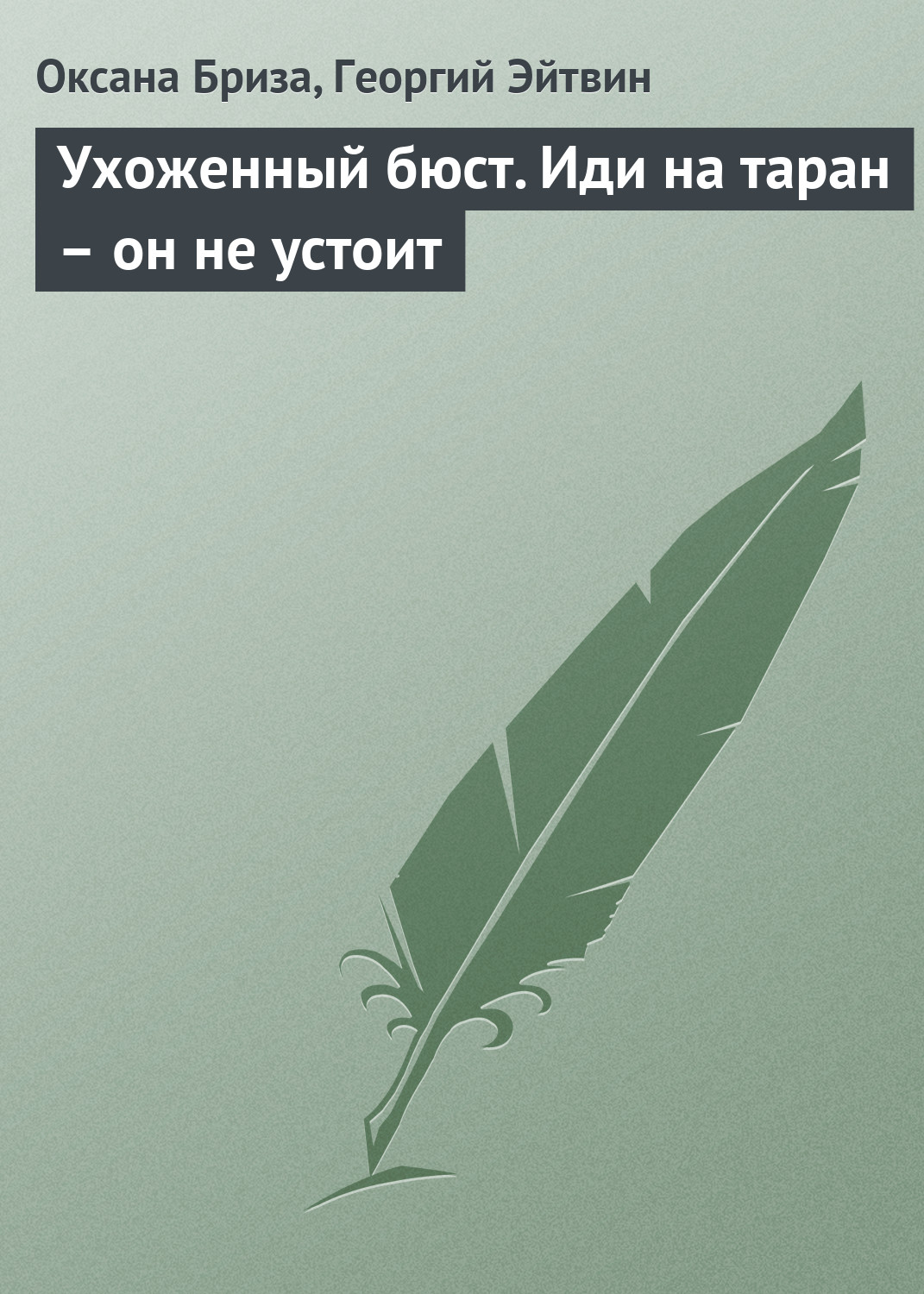 Обложка книги «Ухоженный бюст. Иди на таран – он не устоит»