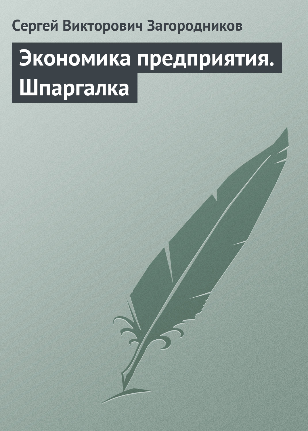 Обложка книги «Экономика предприятия. Шпаргалка»
