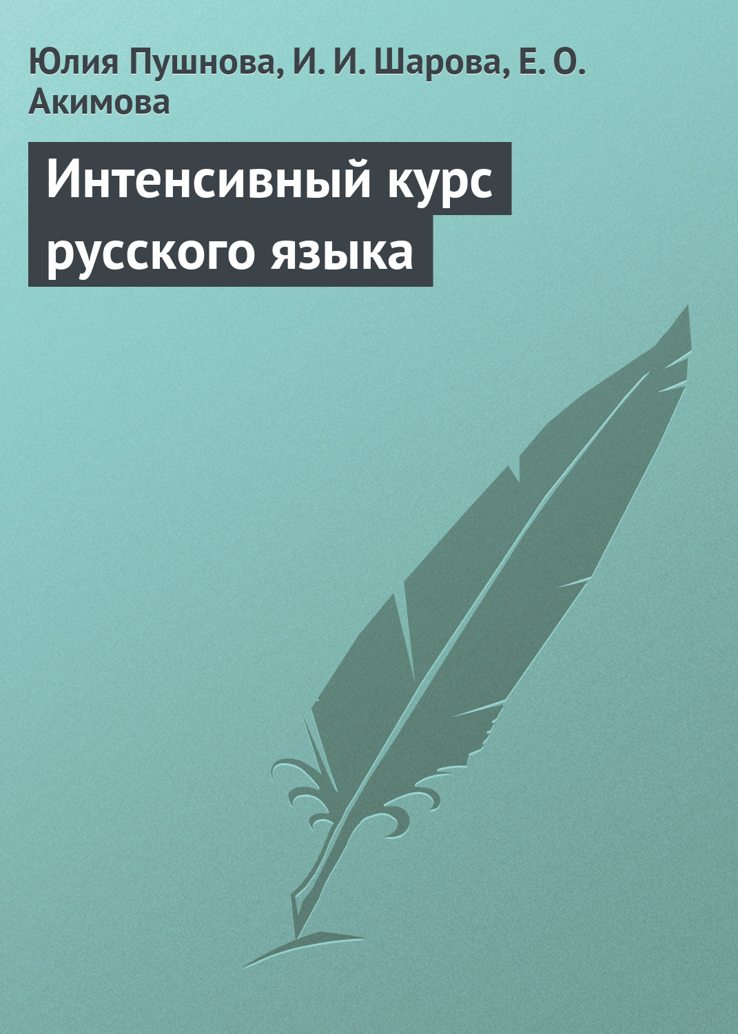 Обложка книги «Интенсивный курс русского языка»
