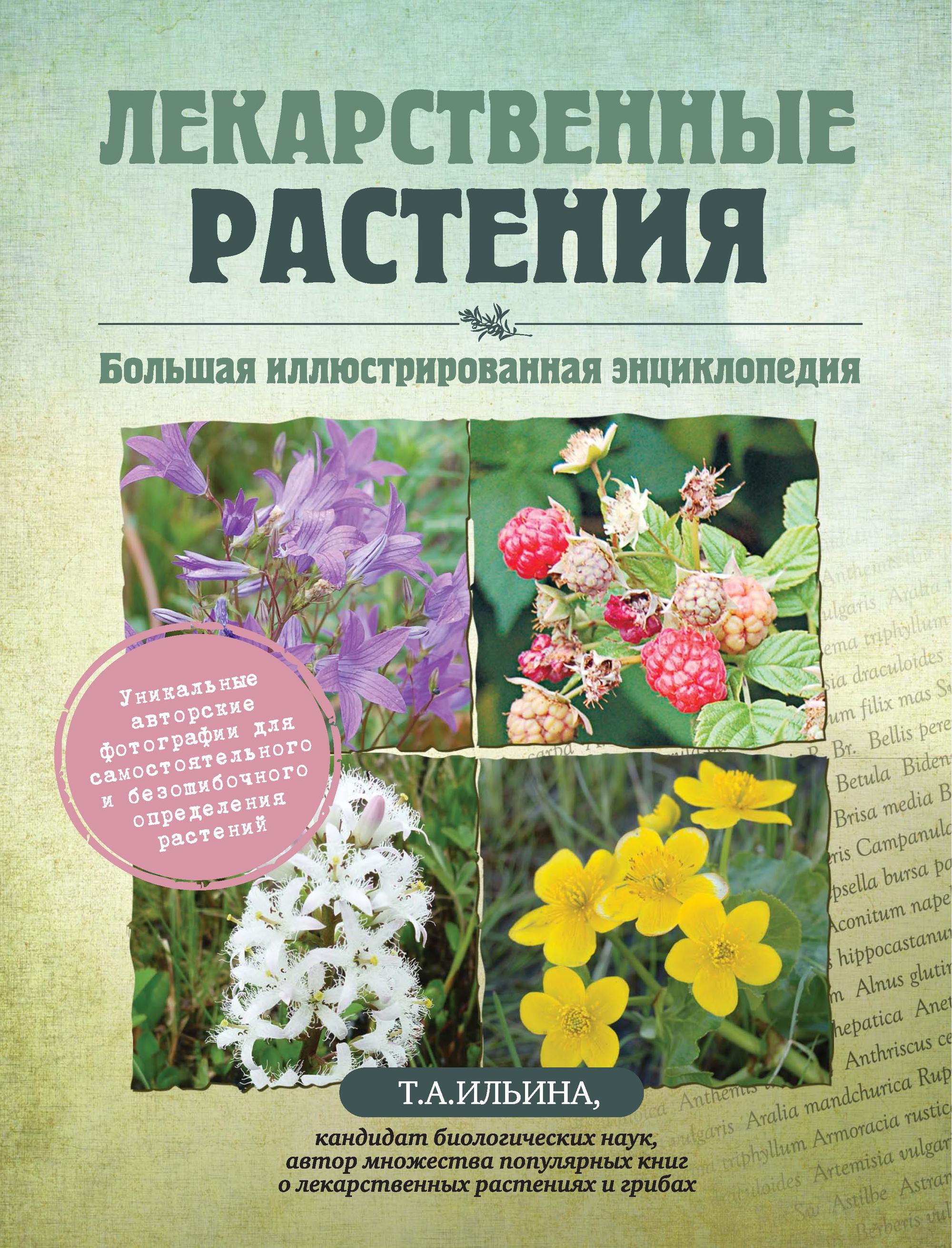 Обложка книги «Лекарственные растения. Большая иллюстрированная энциклопедия»