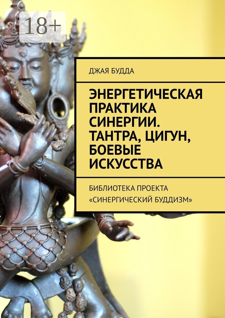 Обложка книги «Энергетическая практика синергии. Тантра, цигун, боевые искусства. Библиотека проекта «Синергический буддизм»»