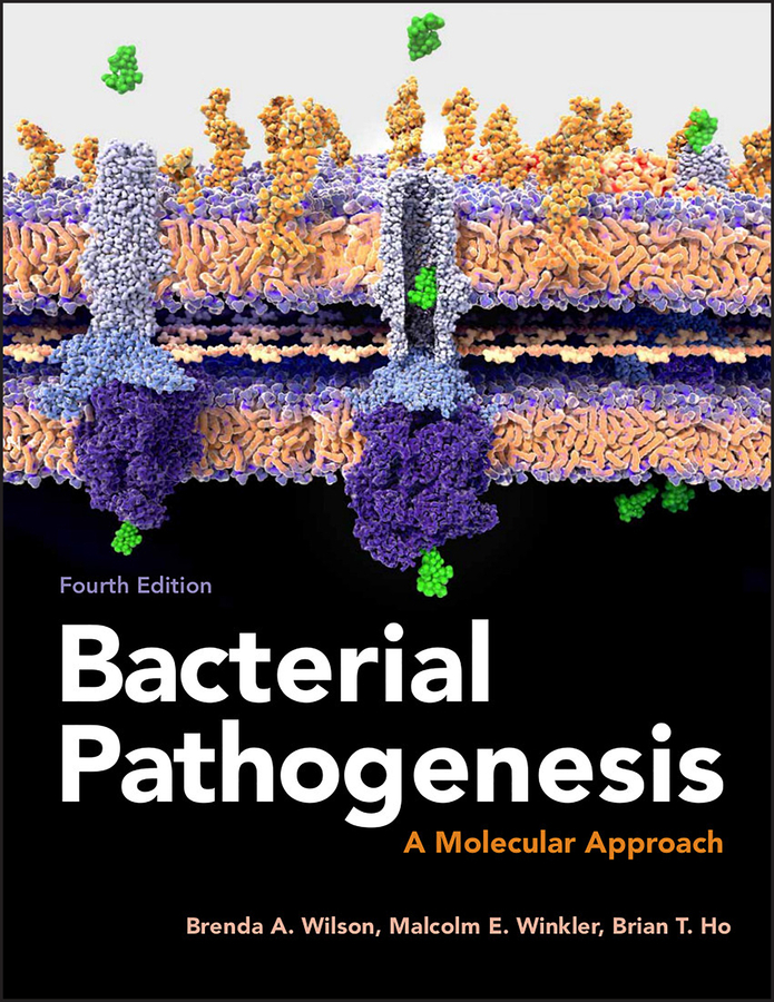 Обложка книги «Bacterial Pathogenesis»