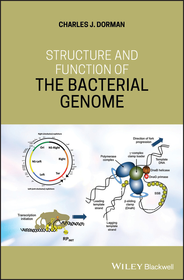 Обложка книги «Structure and Function of the Bacterial Genome»