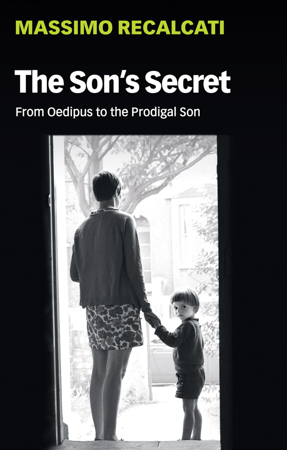 Обложка книги «The Son's Secret»