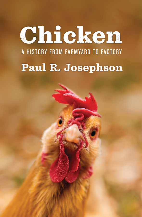 Обложка книги «Chicken»