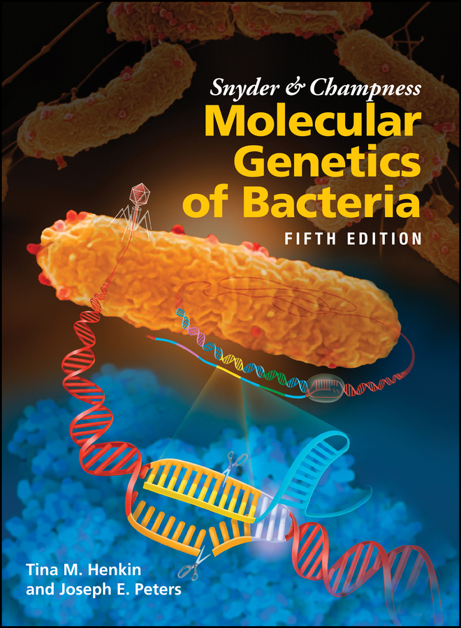 Обложка книги «Snyder and Champness Molecular Genetics of Bacteria»