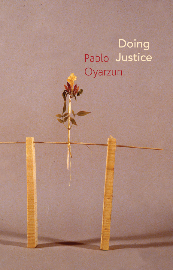 Обложка книги «Doing Justice»
