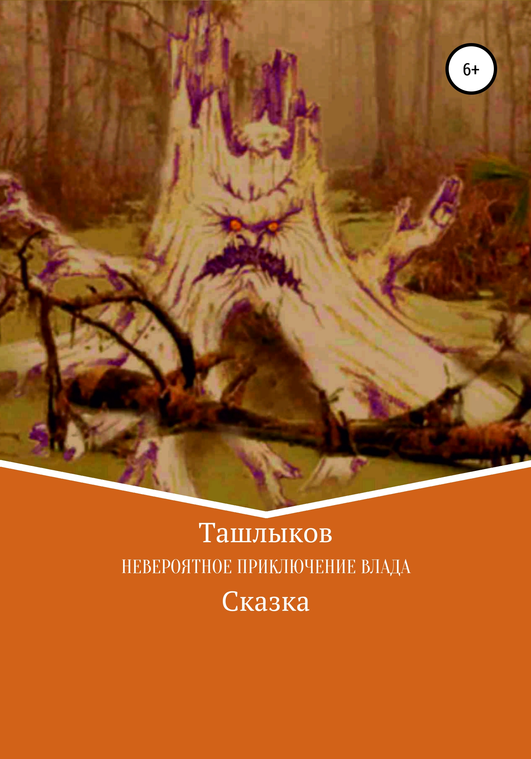 Обложка книги «Невероятное приключение Влада»