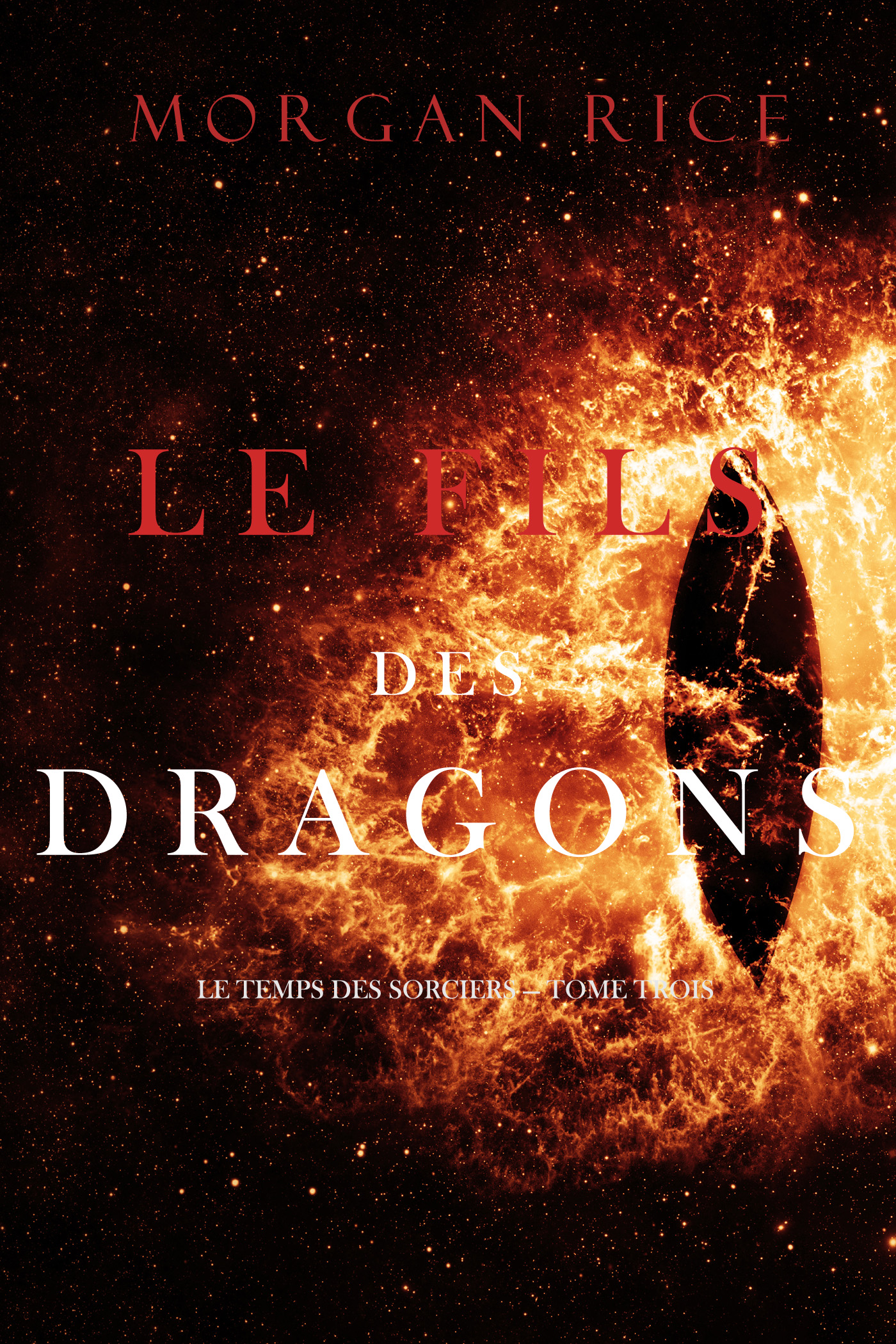 Обложка книги «Le Fils des Dragons»