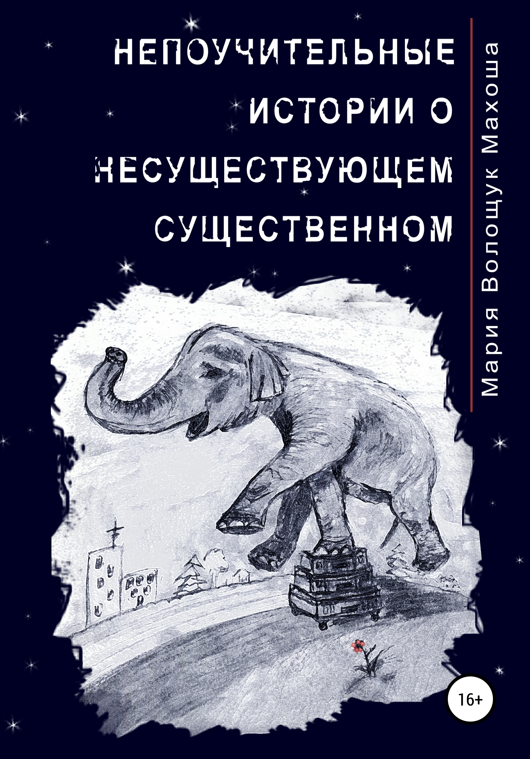 Обложка книги «Непоучительные истории о несуществующем существенном»