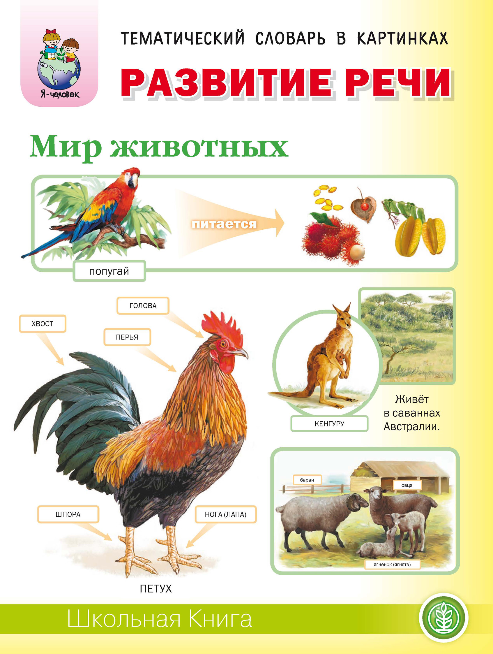 Обложка книги «Развитие речи «Мир животных»: Домашние животные. Дикие животные (звери) средней полосы. Дикие животные (звери) и птицы жарких и холодных стран. Домашние птицы. Дикие птицы средней полосы. Насекомые. Земноводные и пресмыкающиеся. Рыбы»