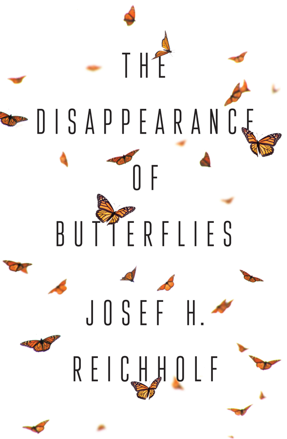 Обложка книги «The Disappearance of Butterflies»