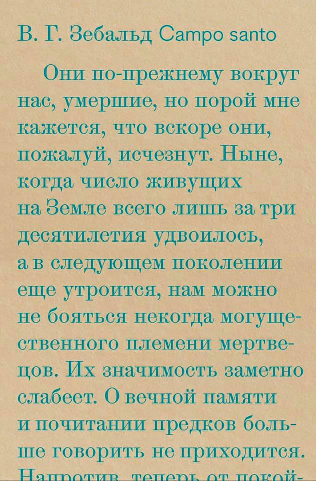 Обложка книги «Campo santo»